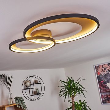 hofstein Deckenleuchte LED dimmbar Decken Lampen Flur Strahler Gold/schwarz Wohn Schlaf Raum