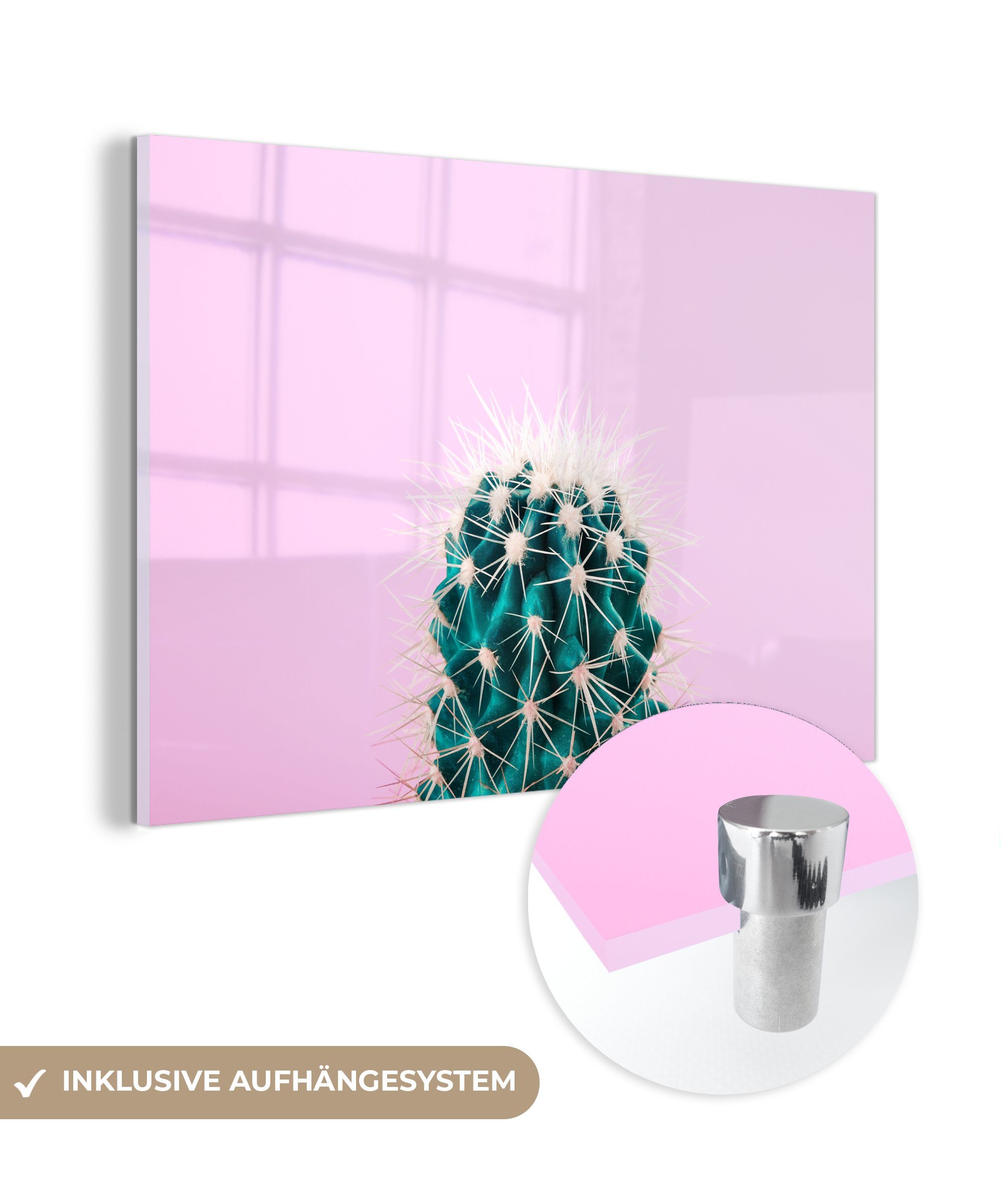 MuchoWow Acrylglasbild Grüner Kaktus auf rosa Hintergrund, (1 St), Acrylglasbilder Wohnzimmer & Schlafzimmer