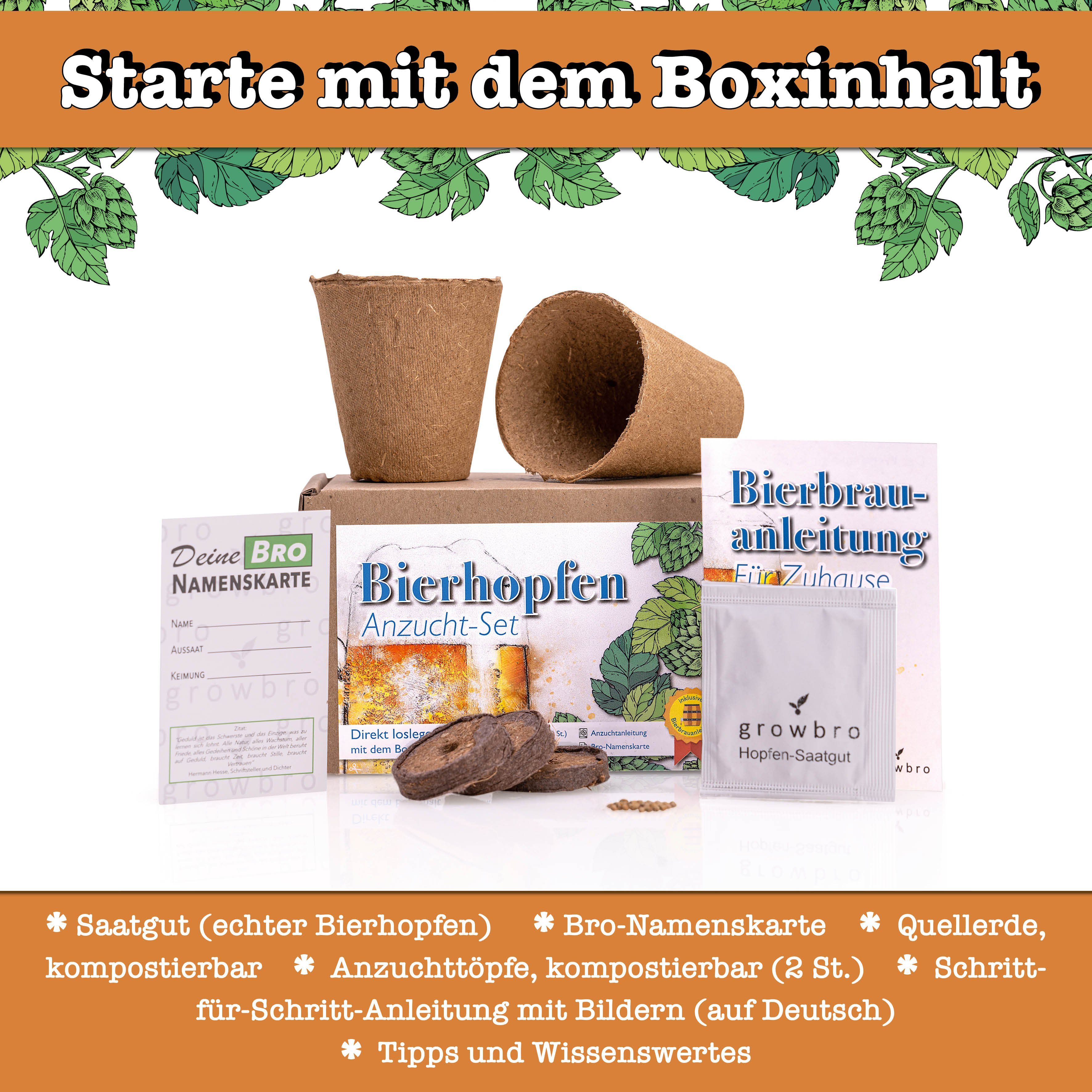 Kunstpflanze Hopfen Anzuchtset DER WEG ZU DEINEM EIGENEN BIER Geschenk für günstig online kaufen
