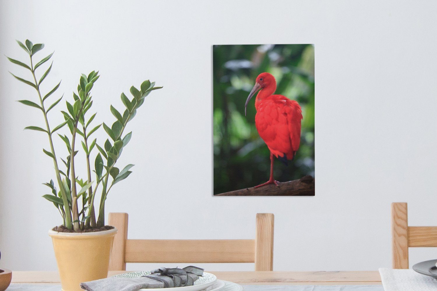 fertig (1 Ibis bespannt 20x30 Tierporträt Gemälde, einem Leinwandbild OneMillionCanvasses® auf cm Baumzweig, inkl. Zackenaufhänger, Leinwandbild St), eines roten