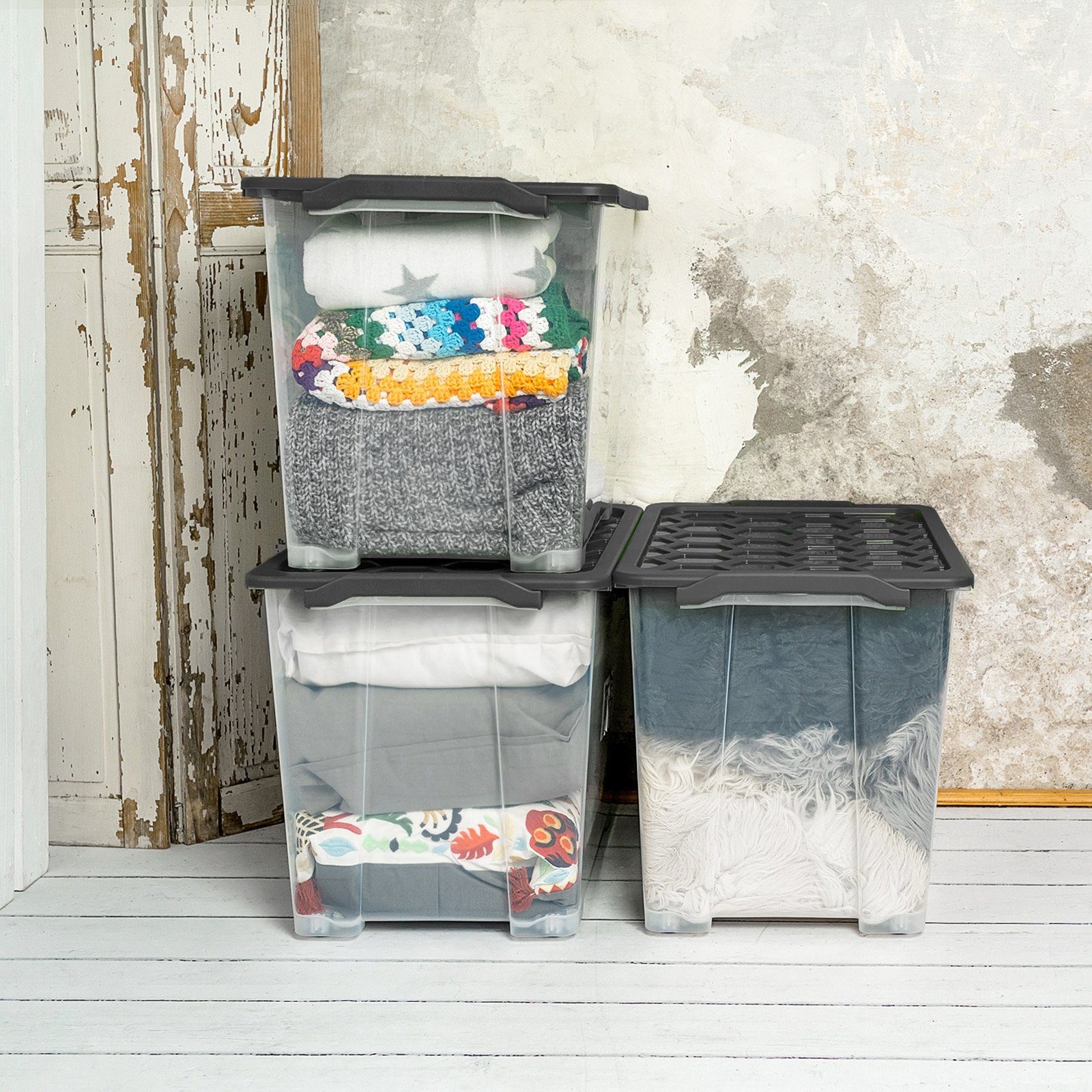 ROTHO Aufbewahrungsbox Evo Safe Keeping 3er-Set günstig online kaufen