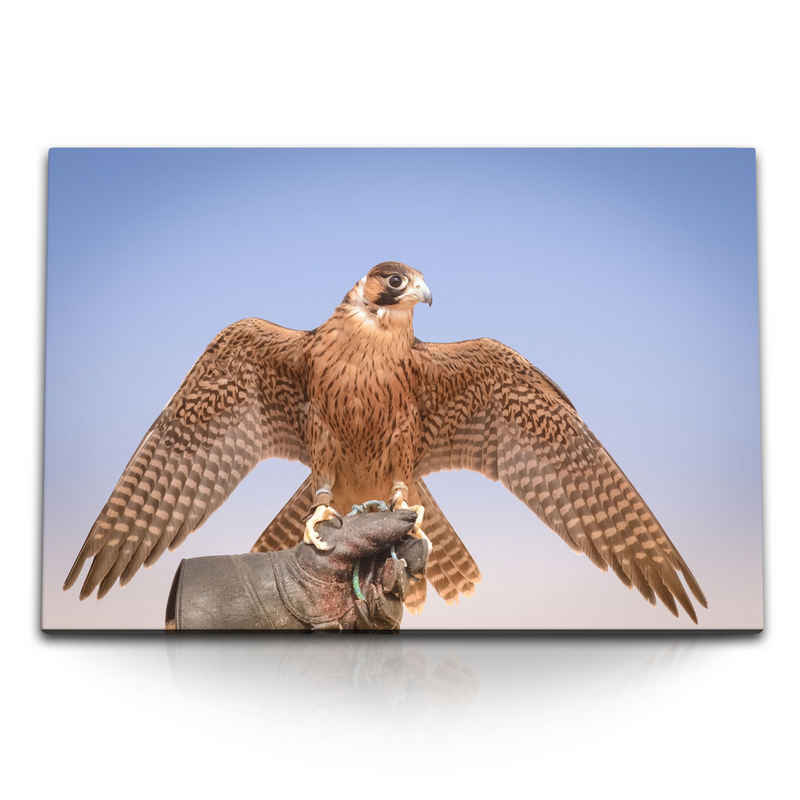 Sinus Art Leinwandbild 120x80cm Wandbild auf Leinwand Falke Falkenjagd Dubai Raubvogel Greifv, (1 St)