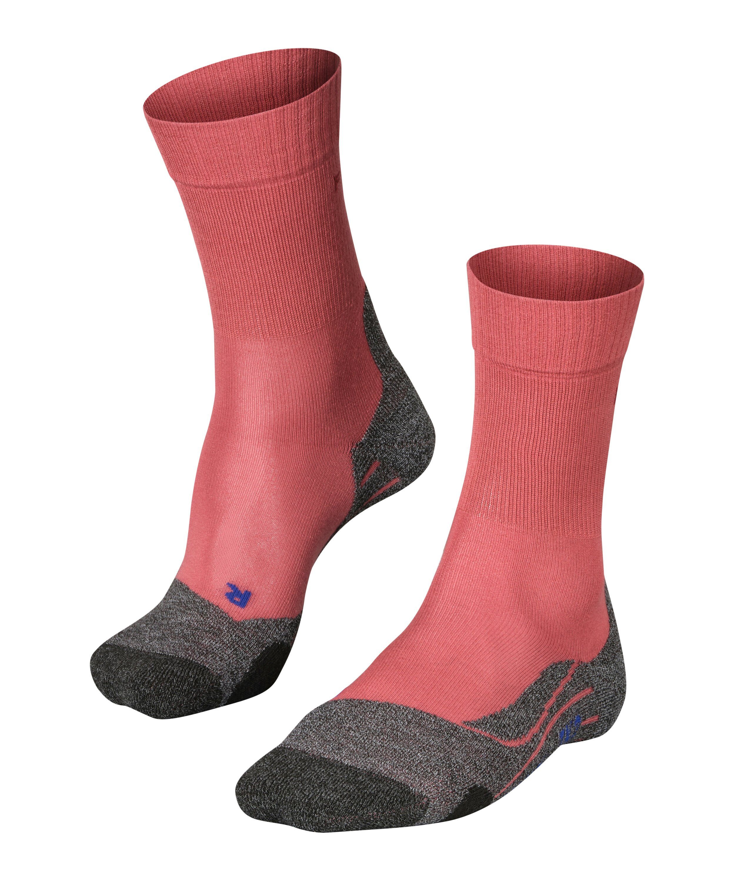 FALKE Wandersocken TK2 Explore Cool (1-Paar) hoher Komfort im Mittelgebirge mixed berry (8215) | Wandersocken