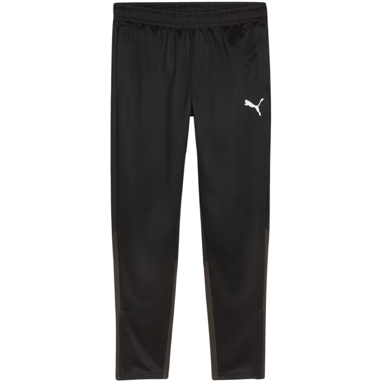 PUMA Trainingshose Puma Team Goal