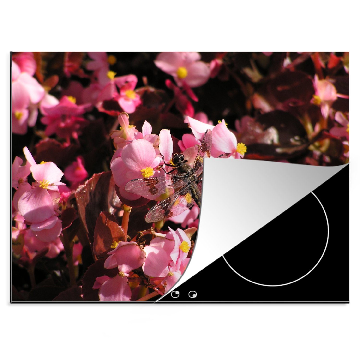 MuchoWow Herdblende-/Abdeckplatte rosa nutzbar, tlg), cm, 70x52 Vinyl, Ceranfeldabdeckung auf Mobile (1 Begonien, Libelle Arbeitsfläche