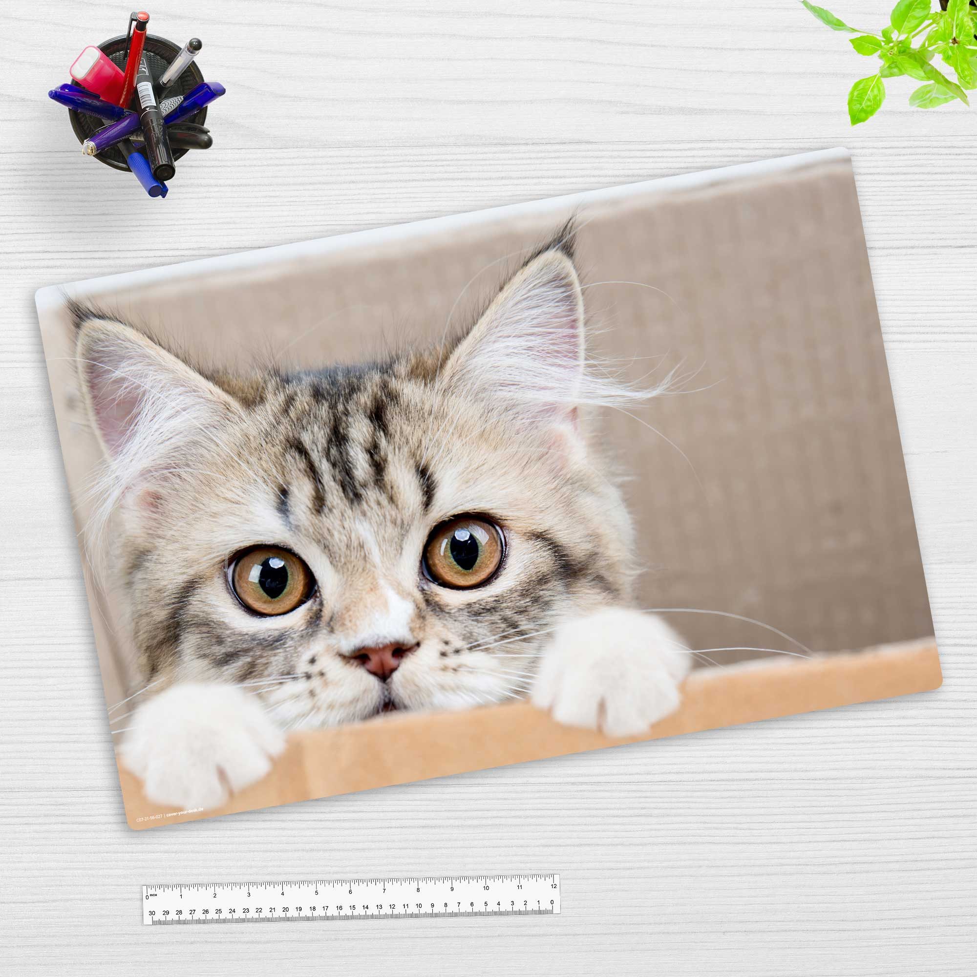 Thumbnail - cover-your-desk.de Schreibtischunterlage abwaschbar – Maine Coon Kätzchen – aus premium Vinyl – Made in Germany, (60 x 4...
