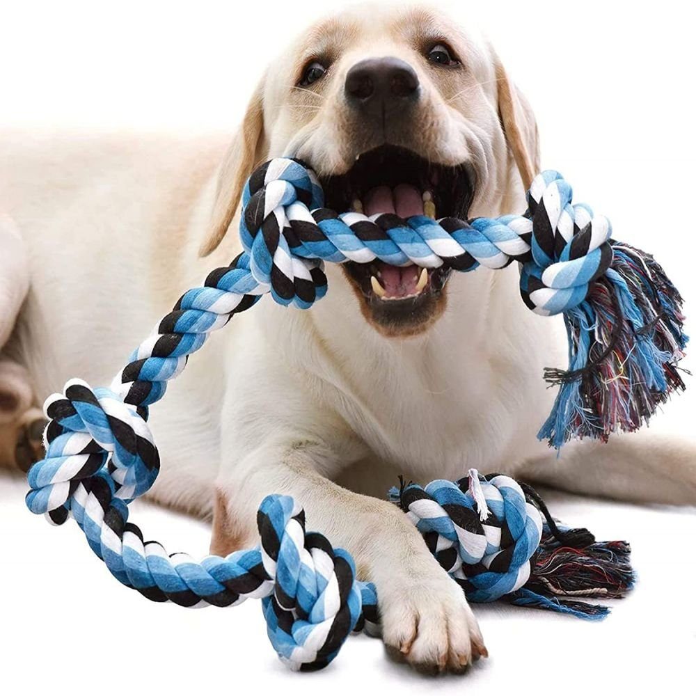 GelldG Spielzeug-Gürtel Hundespielzeug unzerstörbare Seil Interaktives Seil für mittlere