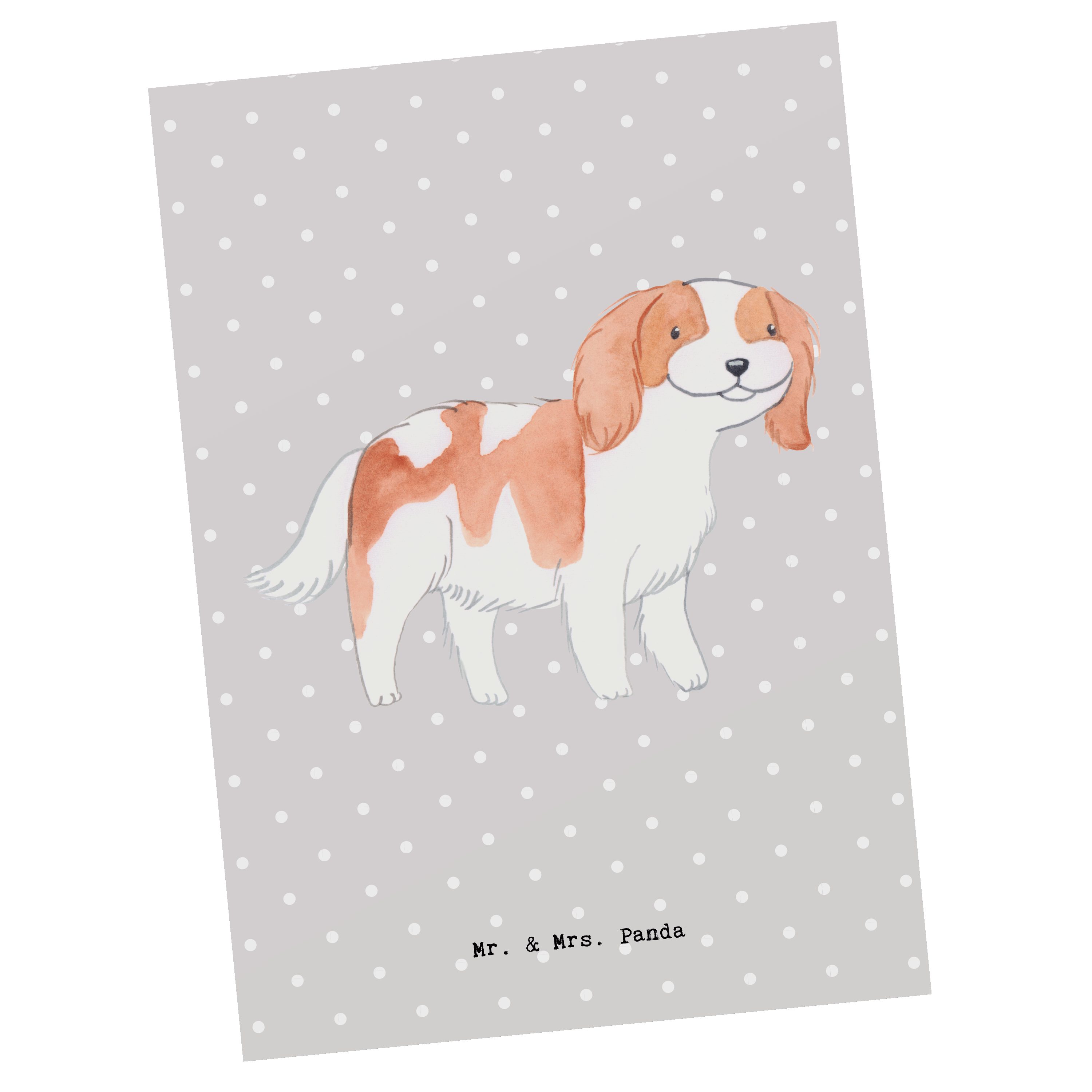 King Geschenk, Spaniel Cavalier Postkarte - Panda Pastell - & Mr. Gesch Charles Mrs. Moment Grau