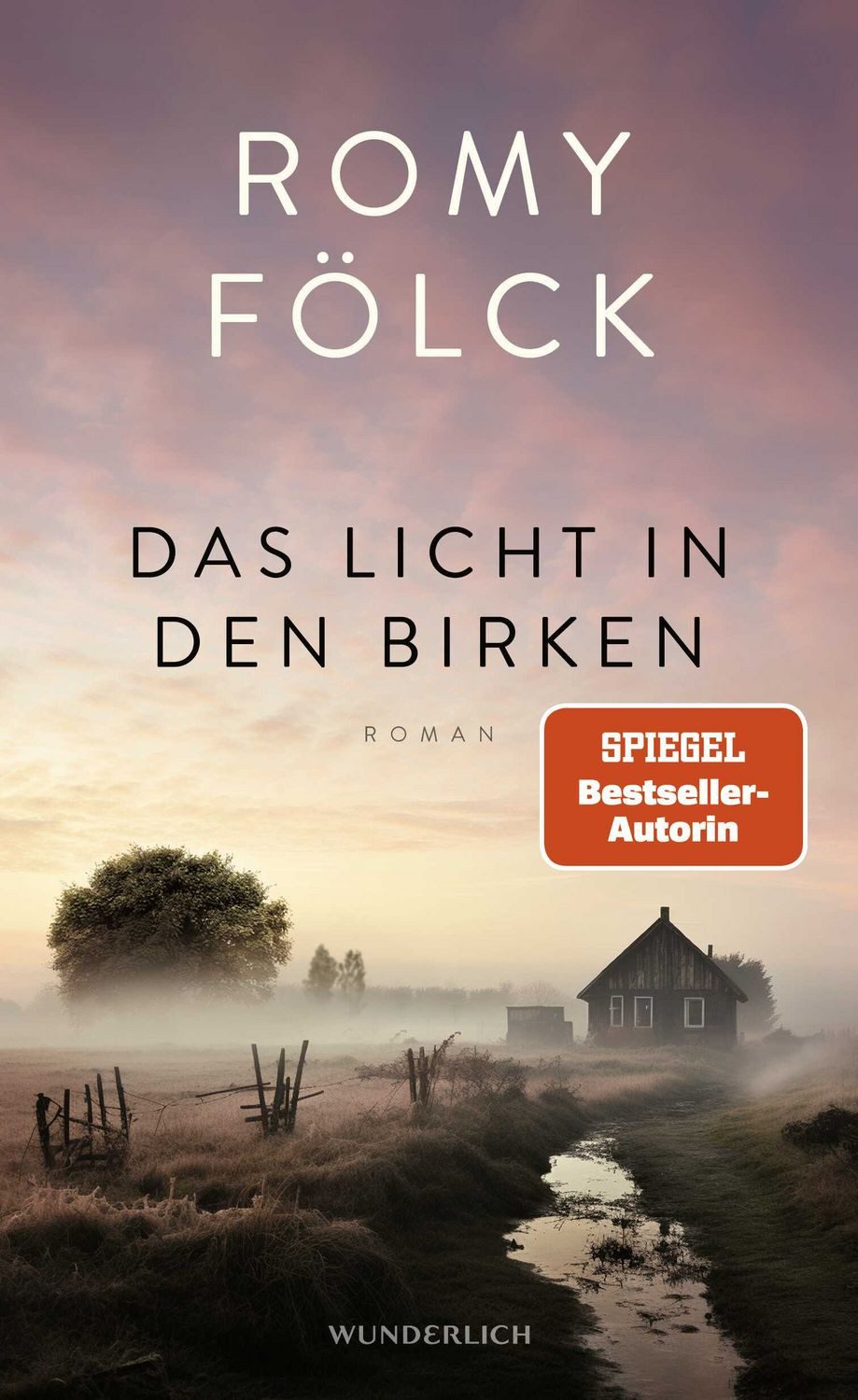 Belletristik Das Licht in den Birken Eine berührende Geschichte über Mut und Zusamm Romy Fölck