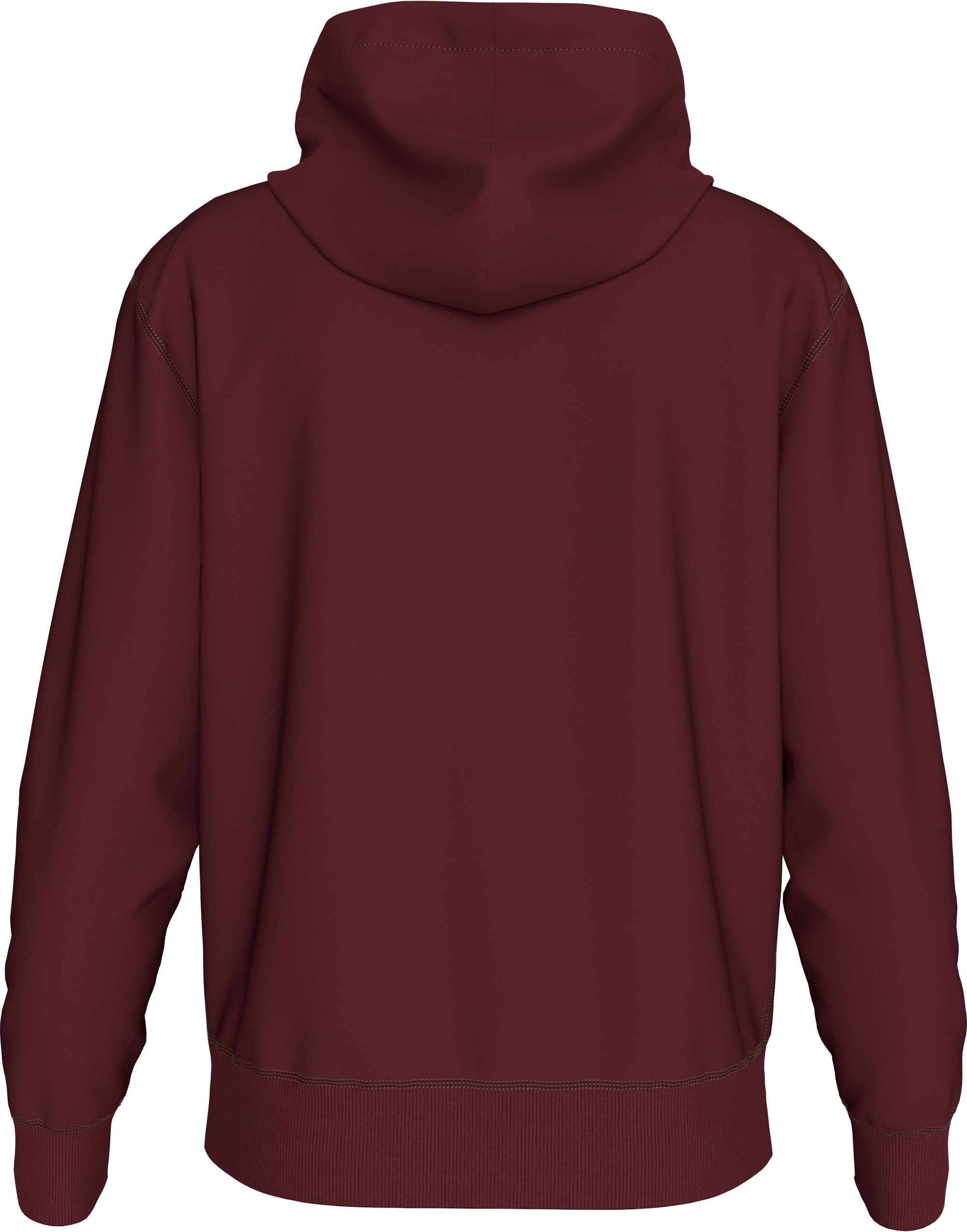 Calvin Klein Kapuzensweatshirt LS EU 350TERRY CURSIVE GRAPHIC H regular fit, Logo-Schriftzug