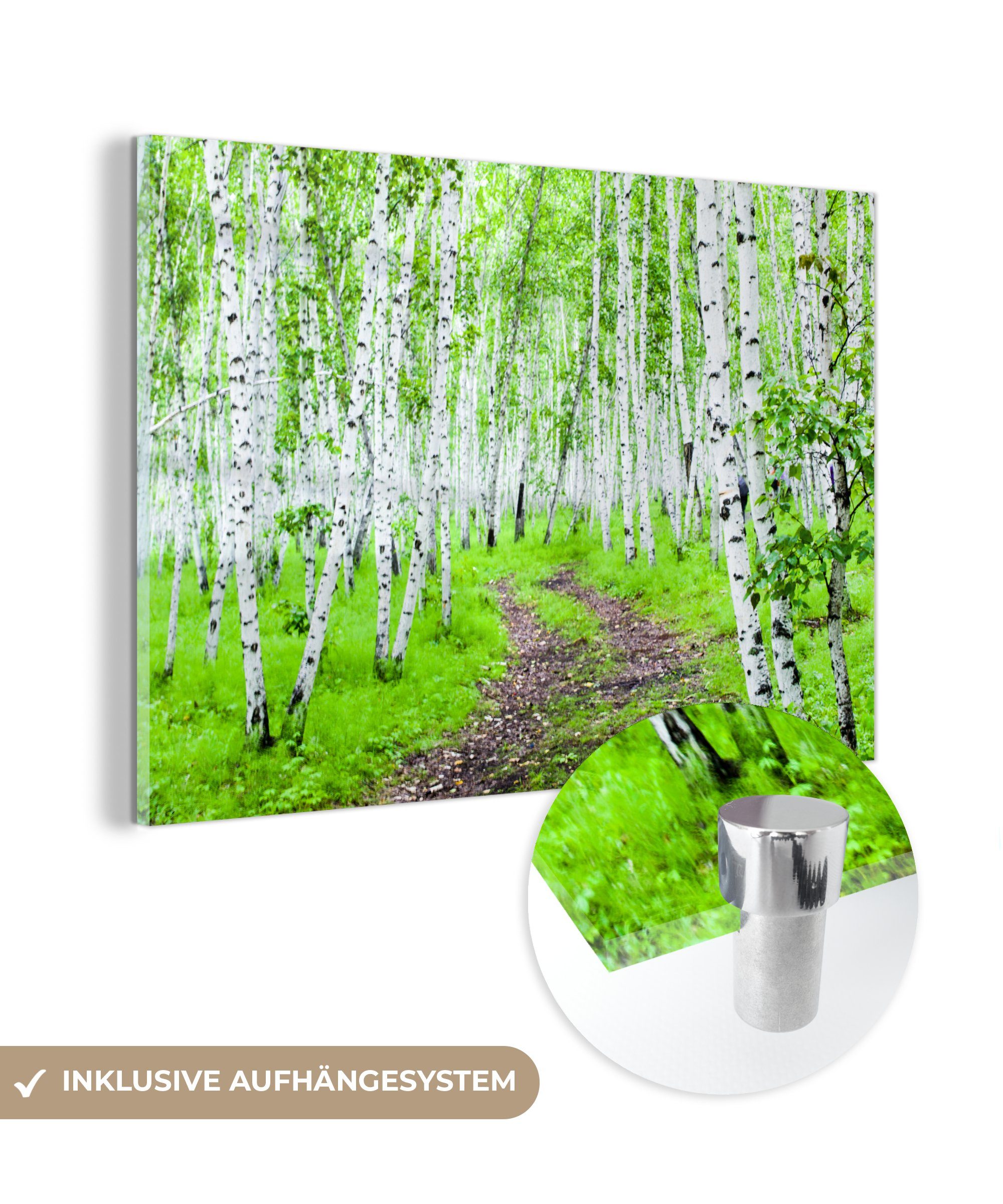 MuchoWow Acrylglasbild Ein Wald aus rauen Birken, (1 St), Acrylglasbilder Wohnzimmer & Schlafzimmer