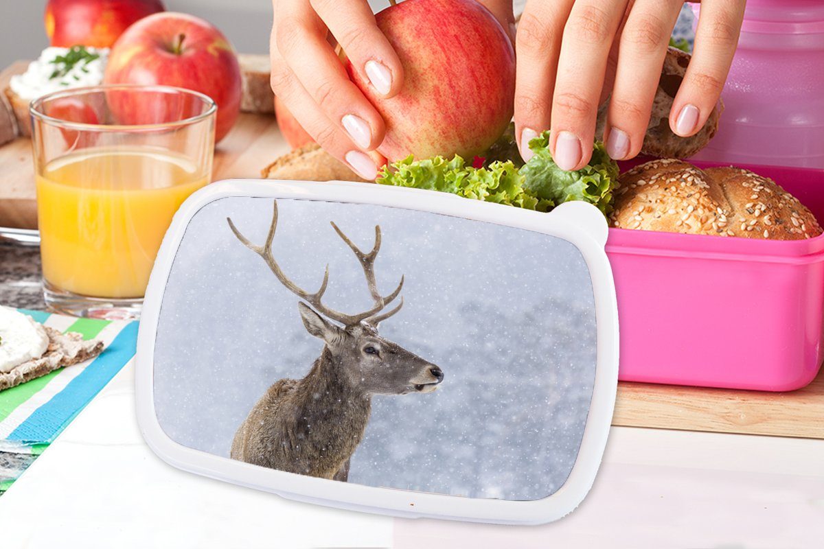 (2-tlg), Kunststoff, Erwachsene, rosa Lunchbox Brotdose - für Brotbox Schnee - Winter, Snackbox, Mädchen, MuchoWow Kinder, Hirsche Kunststoff