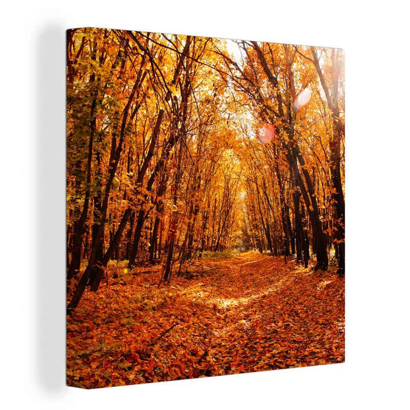 OneMillionCanvasses® Leinwandbild Herbst - Wald - Laub - Jahreszeiten, (1 St), Leinwand Bilder für Wohnzimmer Schlafzimmer