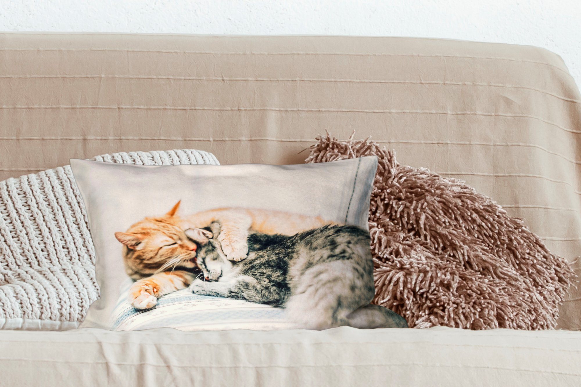 - Füllung, Sofa Wohnzimmer, Dekokissen Schlafzimmer MuchoWow Zierkissen, Wohzimmer Dekoration, - Katzen Dekokissen mit