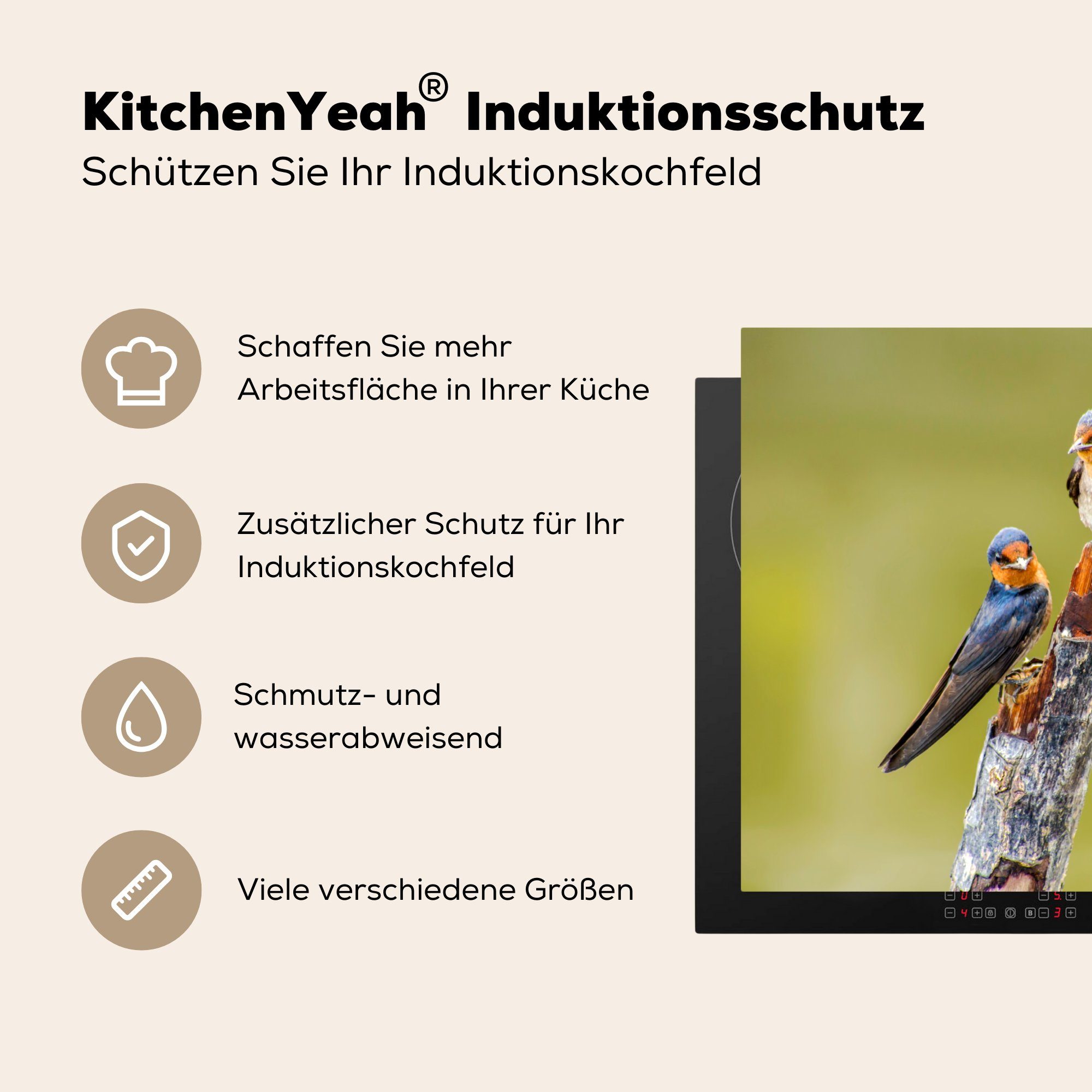 MuchoWow Herdblende-/Abdeckplatte Induktionsmatte Vögel die 59x52 Vinyl, für Zweig - - Porträt, Ceranfeldabdeckung küche, (1 tlg), cm