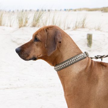 Trendfährte Hunde-Halsband Schecker Hundehalsband BioThane® - viele Größen, BioThane®, Messing, Liebevolle Handarbeit aus Ostfriesland