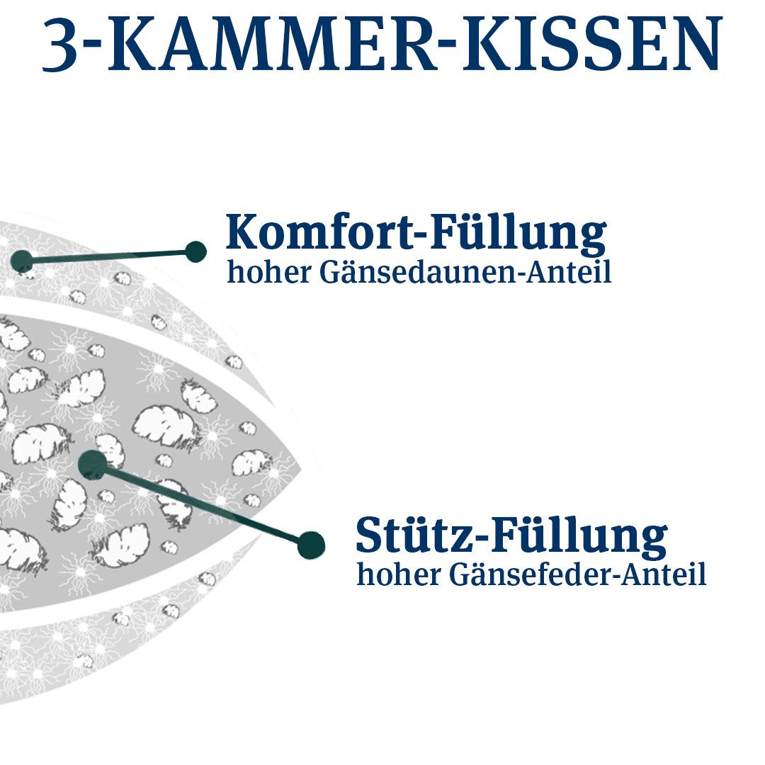 Paradies 3-Kammer-Kopfkissen Abbie, Füllung: Außenkammer: 90% Daunen, 10% Federn Innenkammer: 85% Federn, 15% Daunen, Bezug: 100% Baumwolle, Seitenschläfer, Bau – Bild 3 von 5