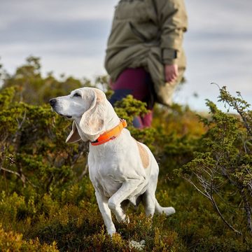 Non-stop dogwear Hunde-Halsband SAFE Collar, Nylon-Band, Für Hunde entwickelt, die sich in der Natur frei bewegen