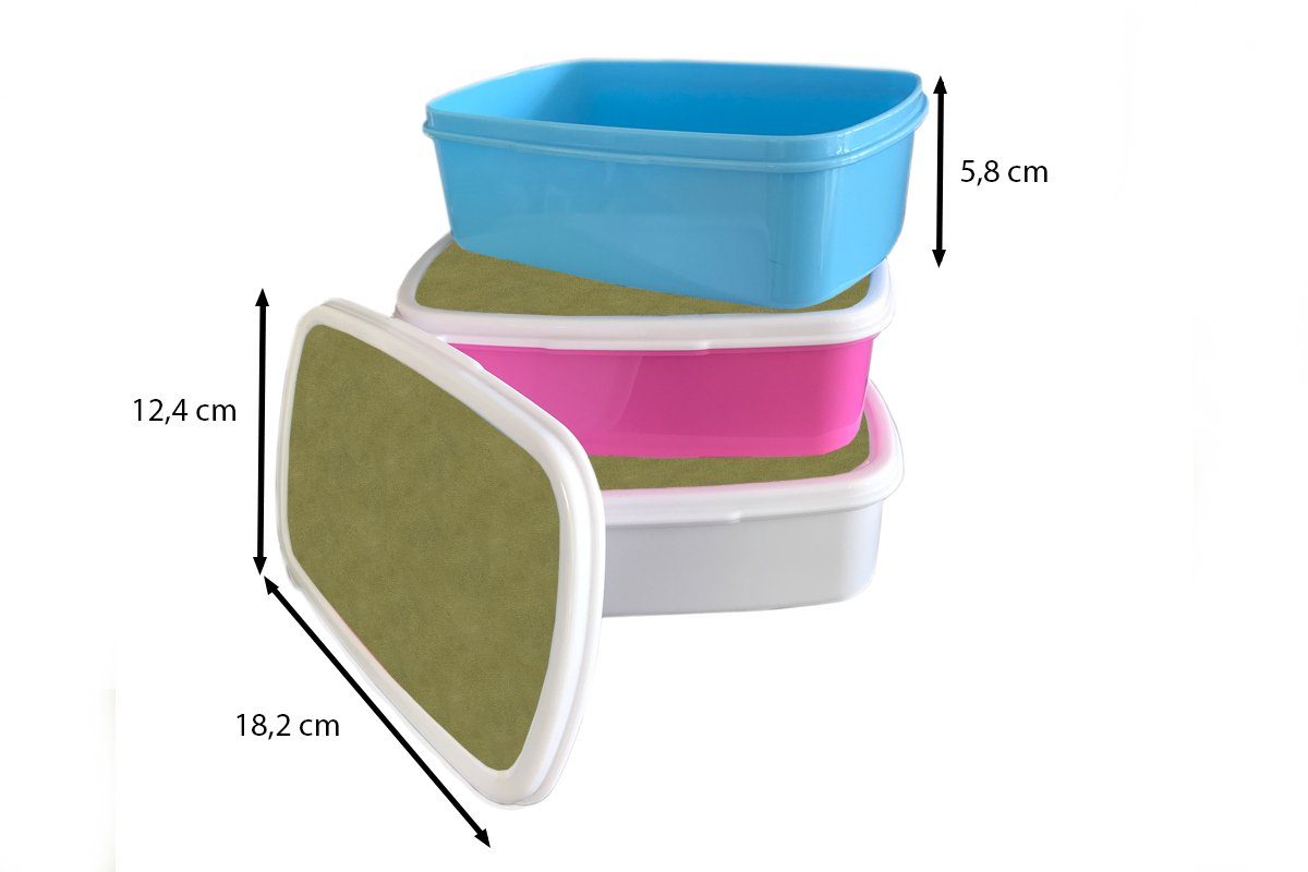 Erwachsene, MuchoWow Kunststoff, Jungs Kinder Tierhaut, Mädchen und Lunchbox Grün Brotdose, (2-tlg), für - für Brotbox weiß und - Leder