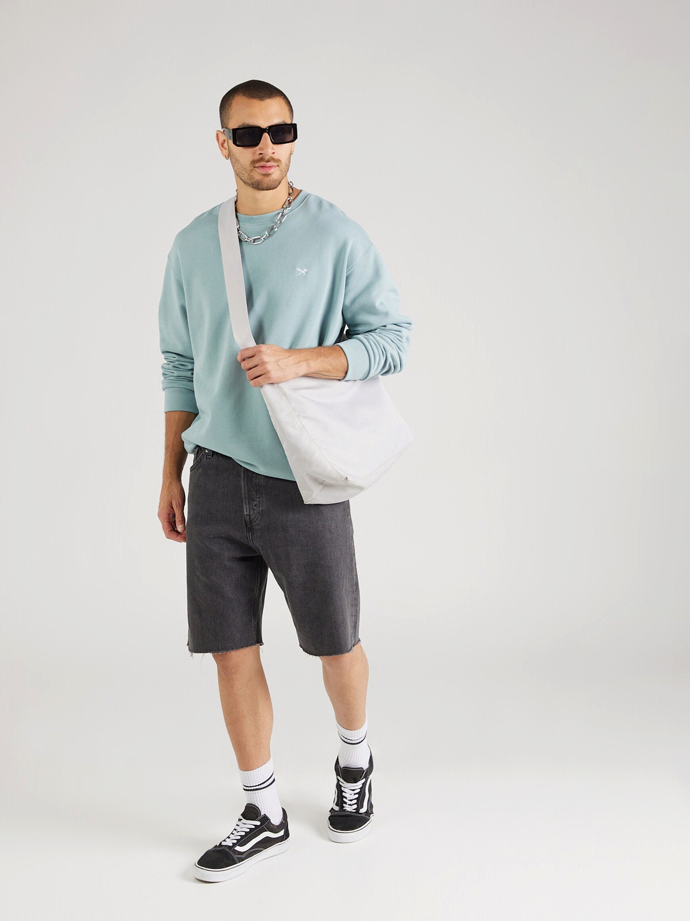 iriedaily Sweatshirt Mini Flag 2 (1-tlg)
