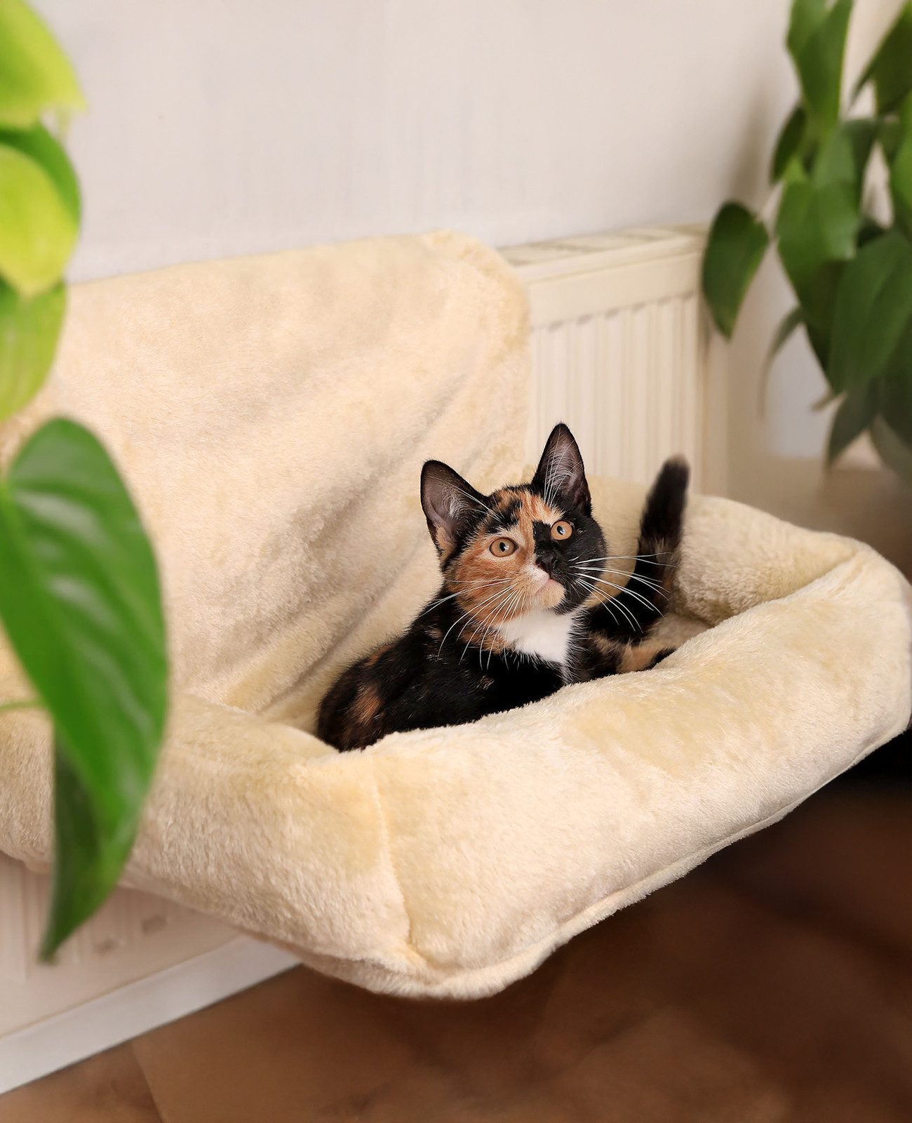 lionto Katzenliege für Heizkörper mit Metallhaken, beige, Plüsch, abnehmbar günstig online kaufen