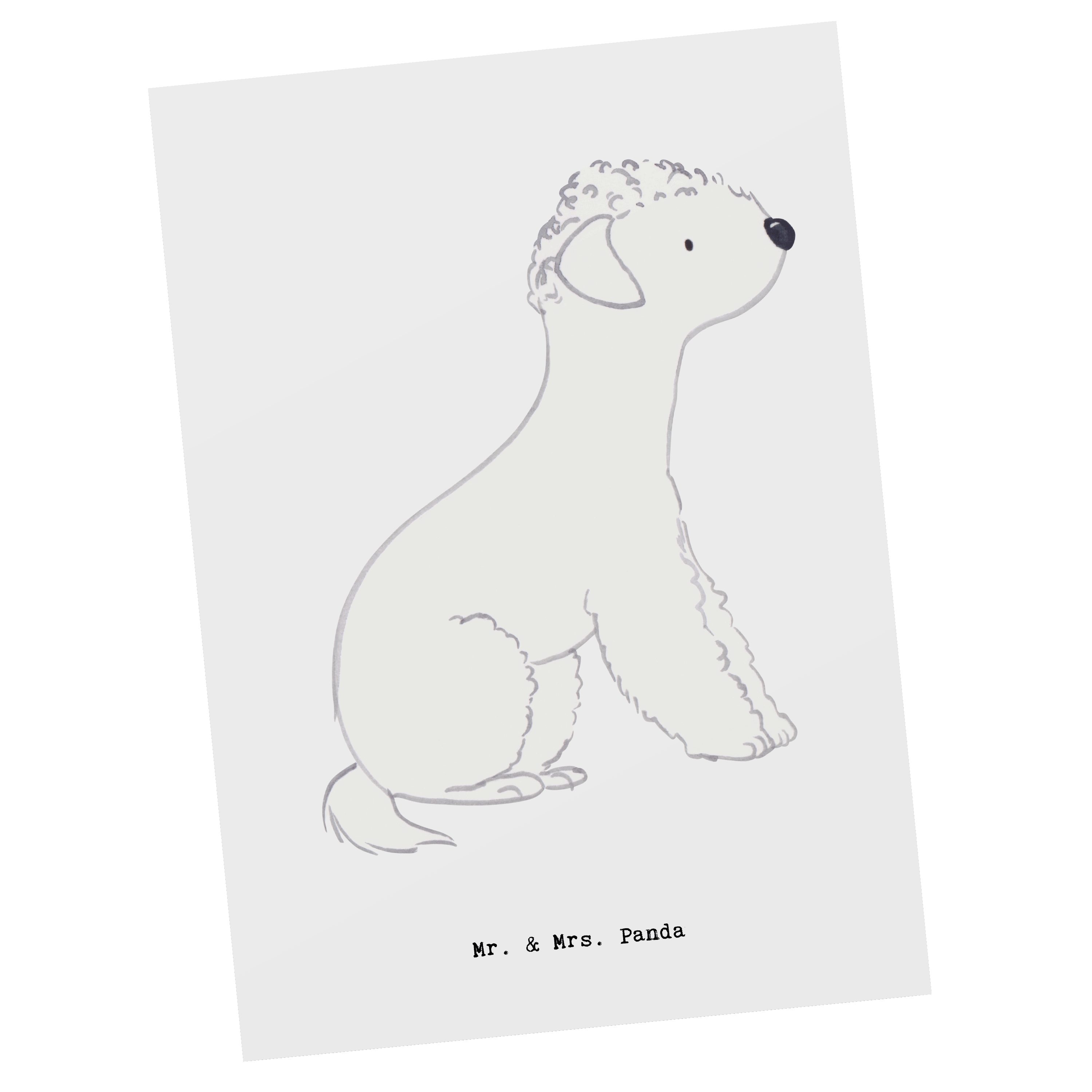 Mr. & Mrs. Panda Postkarte Bedlington Terrier Lebensretter - Weiß - Geschenk, Karte, Einladung