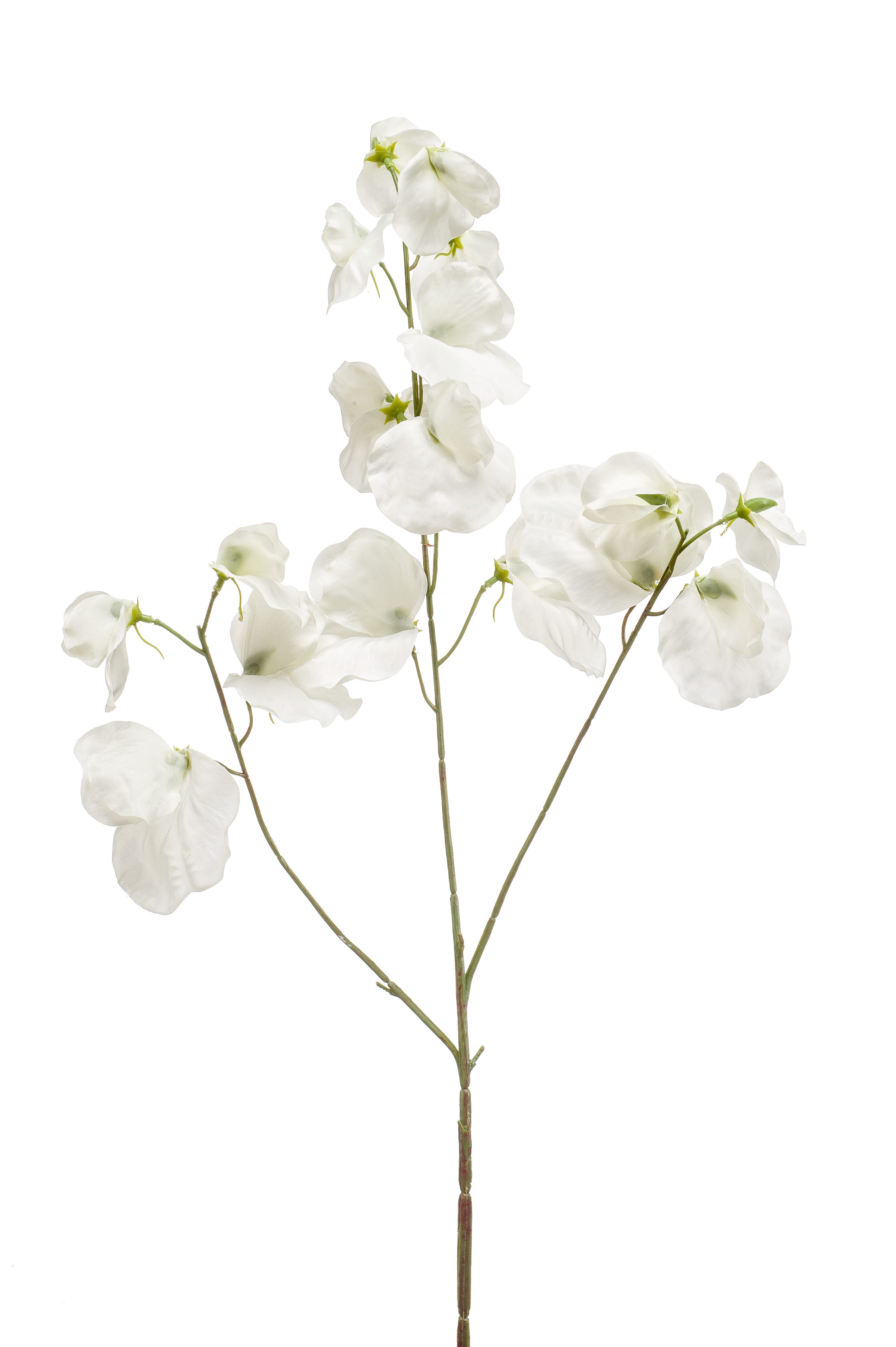 Kunstblume Blütenzweig, Emerald, Höhe 75 cm günstig online kaufen