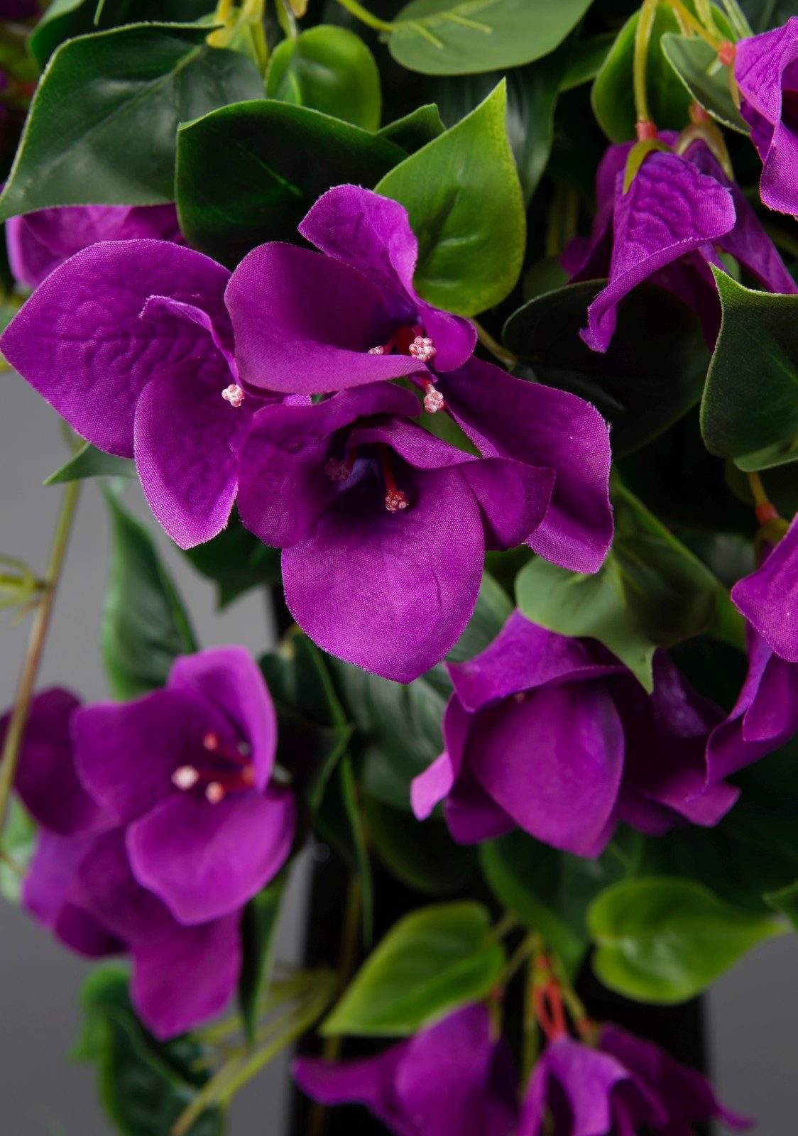 Kunstranke Bougainvillearanke 65cm ZF Kunstpflanzen Kunstblumen günstig online kaufen