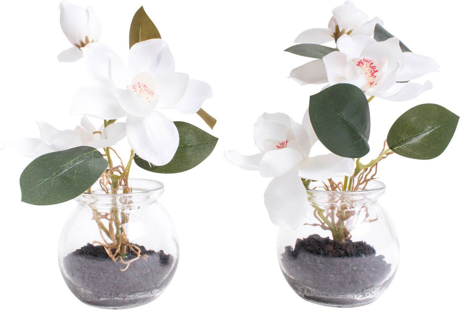 Kunstblume Magnolie im Glas, Botanic-Haus, Höhe 18 cm