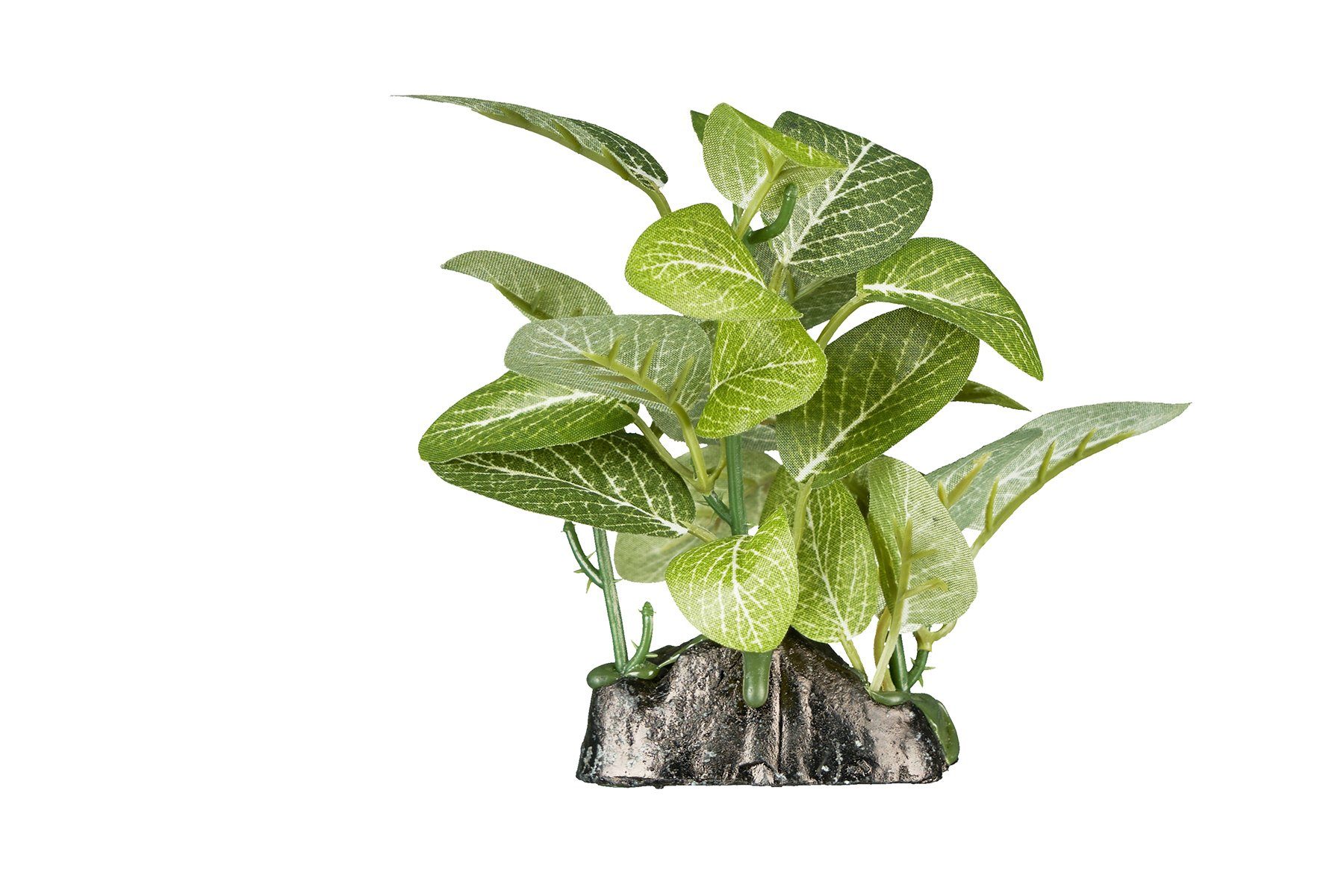 Terrarium ReptiZoo Kunststoffpflanze "Fittonia verschaffeltii" – Terrariendeko