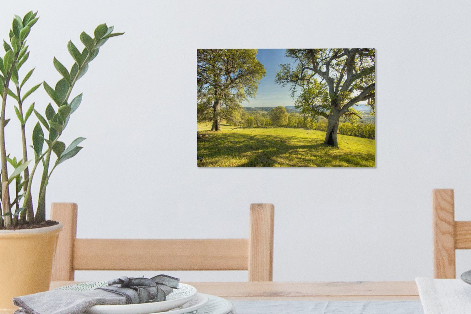 Leinwandbilder, Baum 30x20 Wanddeko, St), - Aufhängefertig, - OneMillionCanvasses® cm Leinwandbild (1 Wandbild Gras Amerika,