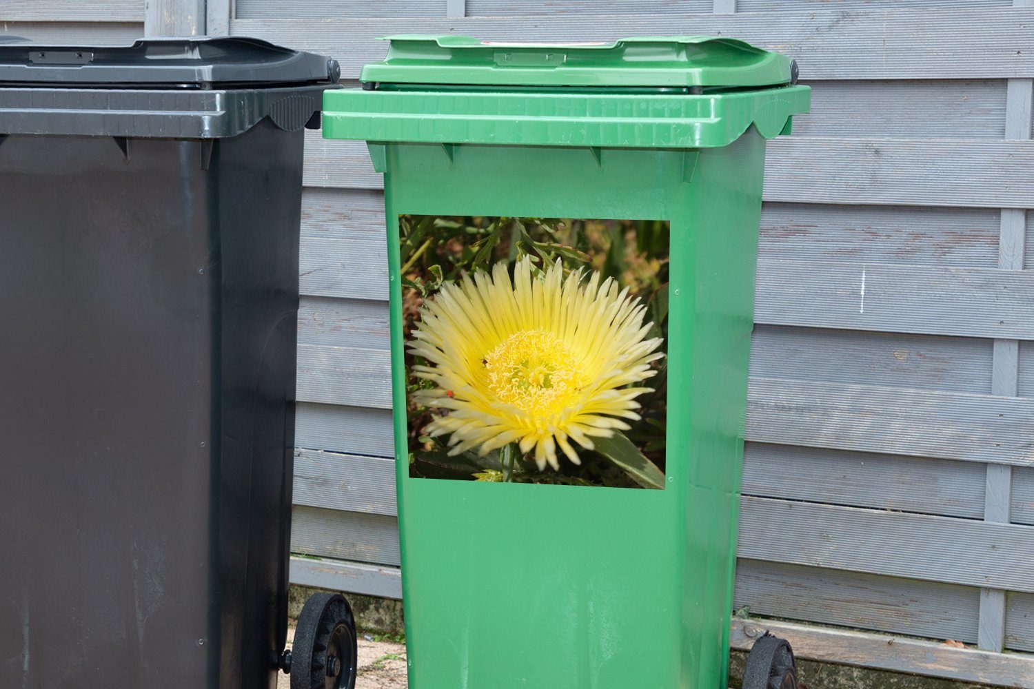 (1 Container, Abfalbehälter Eine Wandsticker gelbe Mülleimer-aufkleber, Eispflanzenart MuchoWow Mülltonne, St), Sticker,
