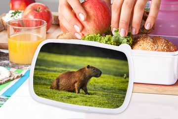 MuchoWow Lunchbox Goldene Sonnenstrahlen über dem Capybara, Kunststoff, (2-tlg), Brotbox für Kinder und Erwachsene, Brotdose, für Jungs und Mädchen