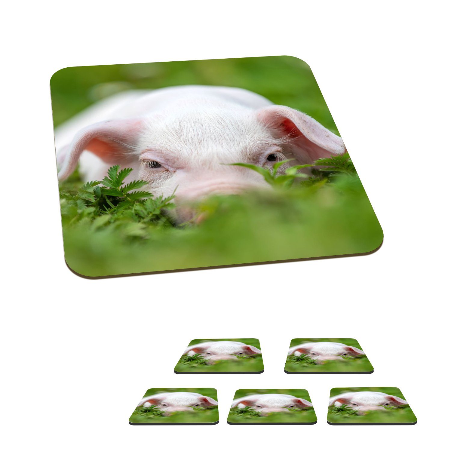 MuchoWow Glasuntersetzer Schwein - Tiere - Groß, Zubehör für Gläser, 6-tlg., Glasuntersetzer, Tischuntersetzer, Korkuntersetzer, Untersetzer, Tasse