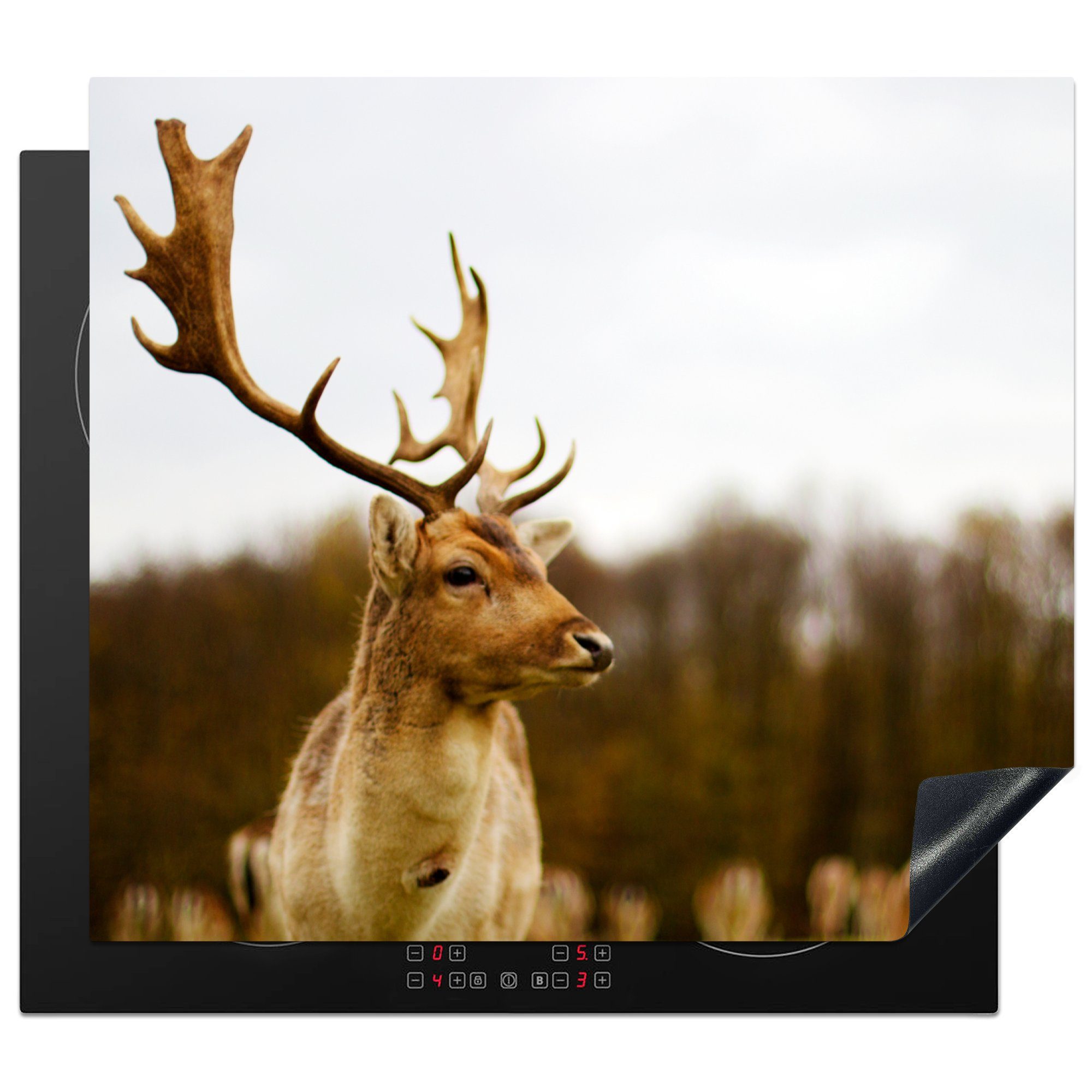 MuchoWow Herdblende-/Abdeckplatte Damhirsch - Wald - Herde - Tiere - Natur, Vinyl, (1 tlg), 57x51 cm, Induktionsschutz, Induktionskochfeld, Ceranfeldabdeckung
