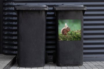 MuchoWow Wandsticker Eichhörnchen - Wald - Moos (1 St), Mülleimer-aufkleber, Mülltonne, Sticker, Container, Abfalbehälter