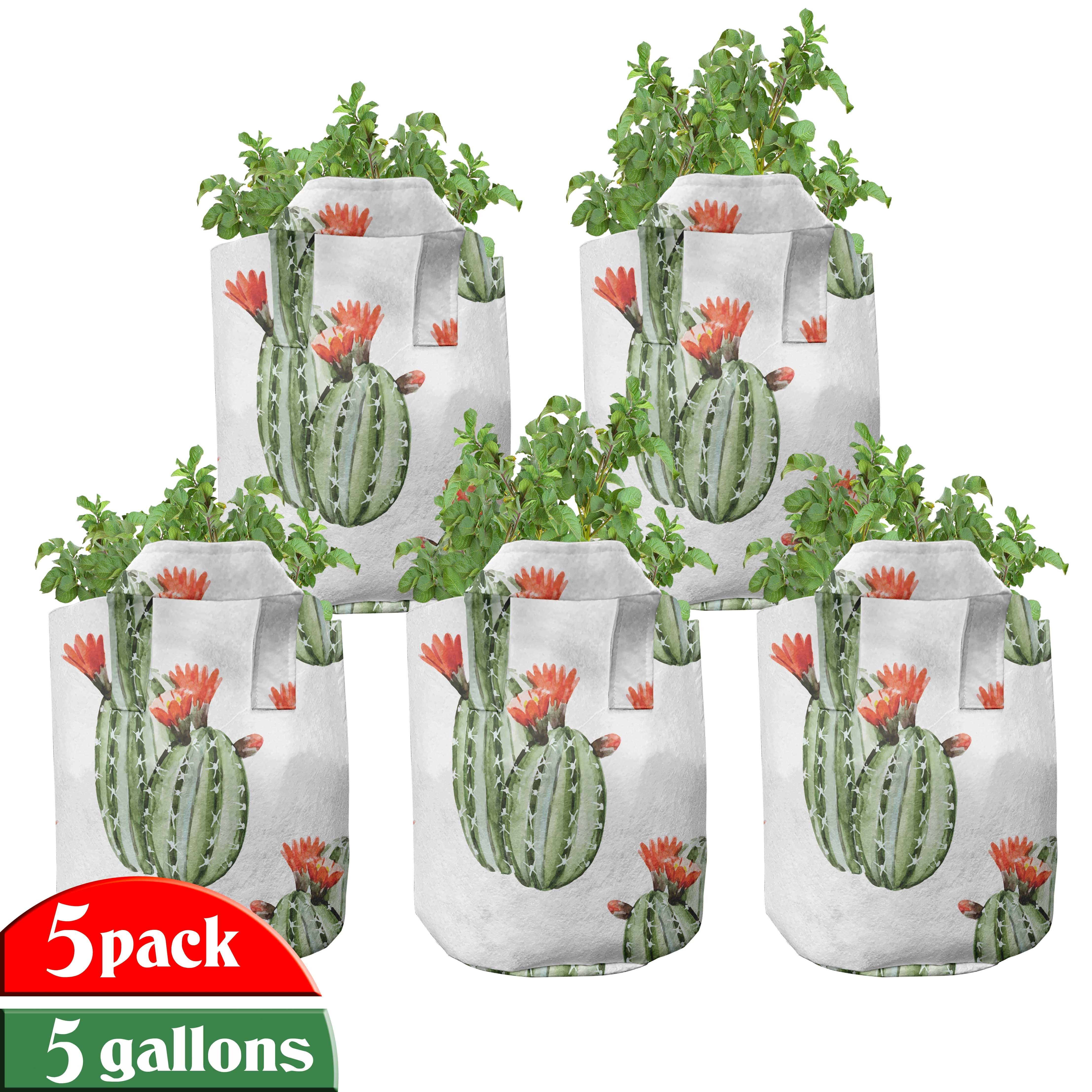 Abakuhaus Pflanzkübel hochleistungsfähig Stofftöpfe mit Kaktus-Anlage Griffen Mexikaner Wüste Pflanzen, für