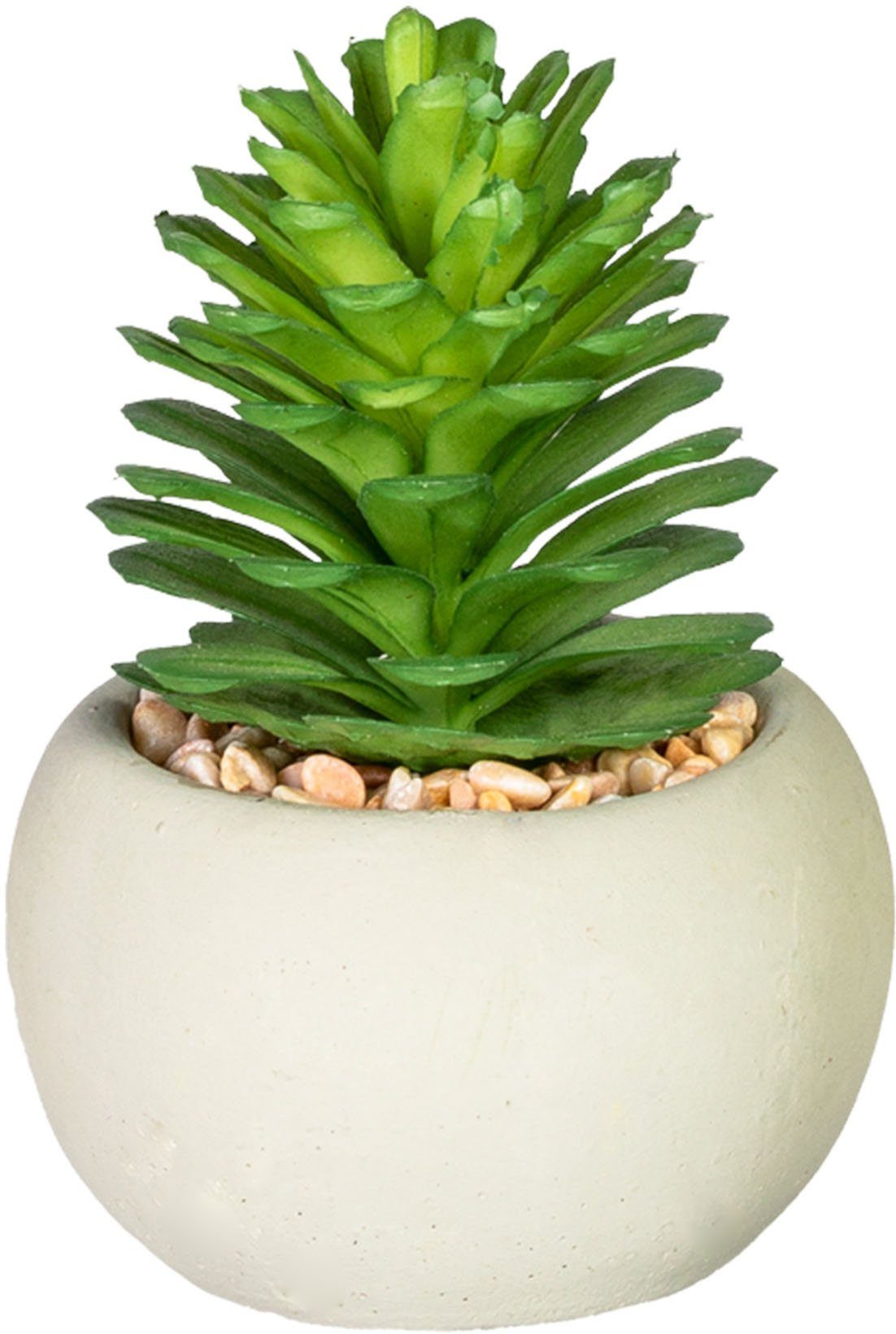 Künstliche Zimmerpflanze Maddison Sukkulente, Leonique, Höhe 8,5 cm, 4er Set