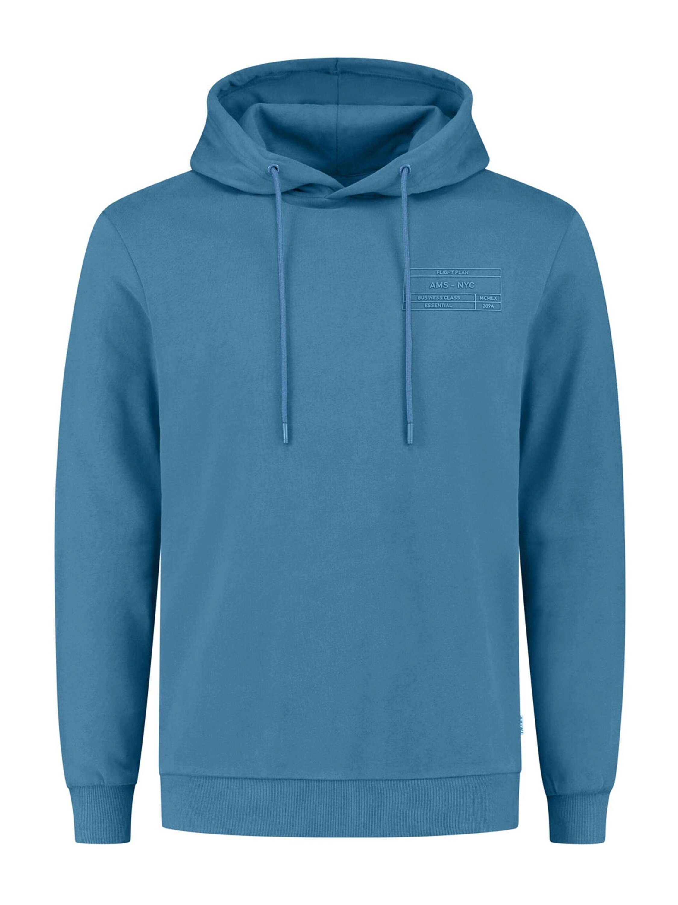 Shiwi Sweatshirt (1-tlg) Plain/ohne Details