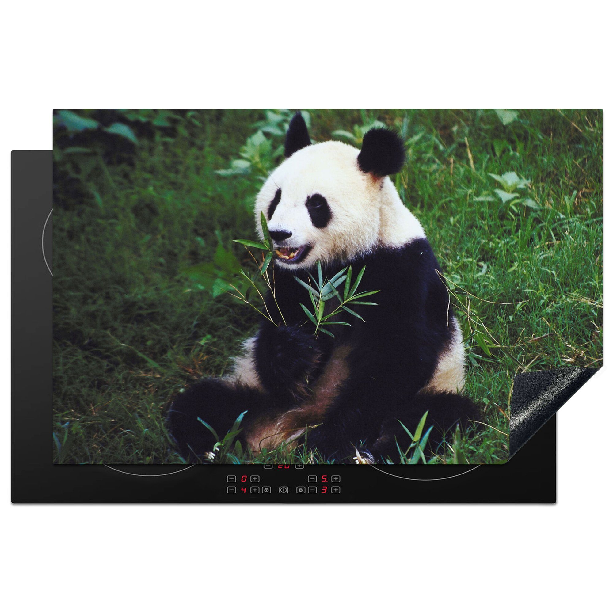 MuchoWow Herdblende-/Abdeckplatte Panda - Wilde Tiere - Bambus - Gras, Vinyl, (1 tlg), 81x52 cm, Induktionskochfeld Schutz für die küche, Ceranfeldabdeckung