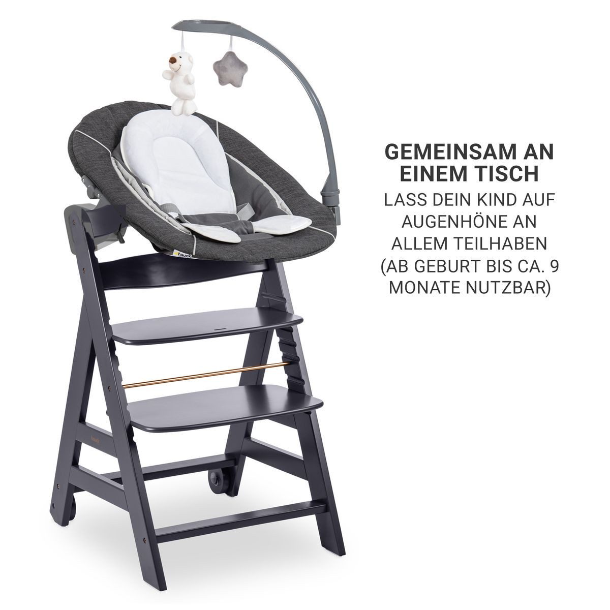 Hauck Hochstuhl Beta Plus Dark Grey - Newborn Set Deluxe, Holz Babystuhl ab Geburt, Aufsatz für Neugeborene, Sitzkissen, Tisch