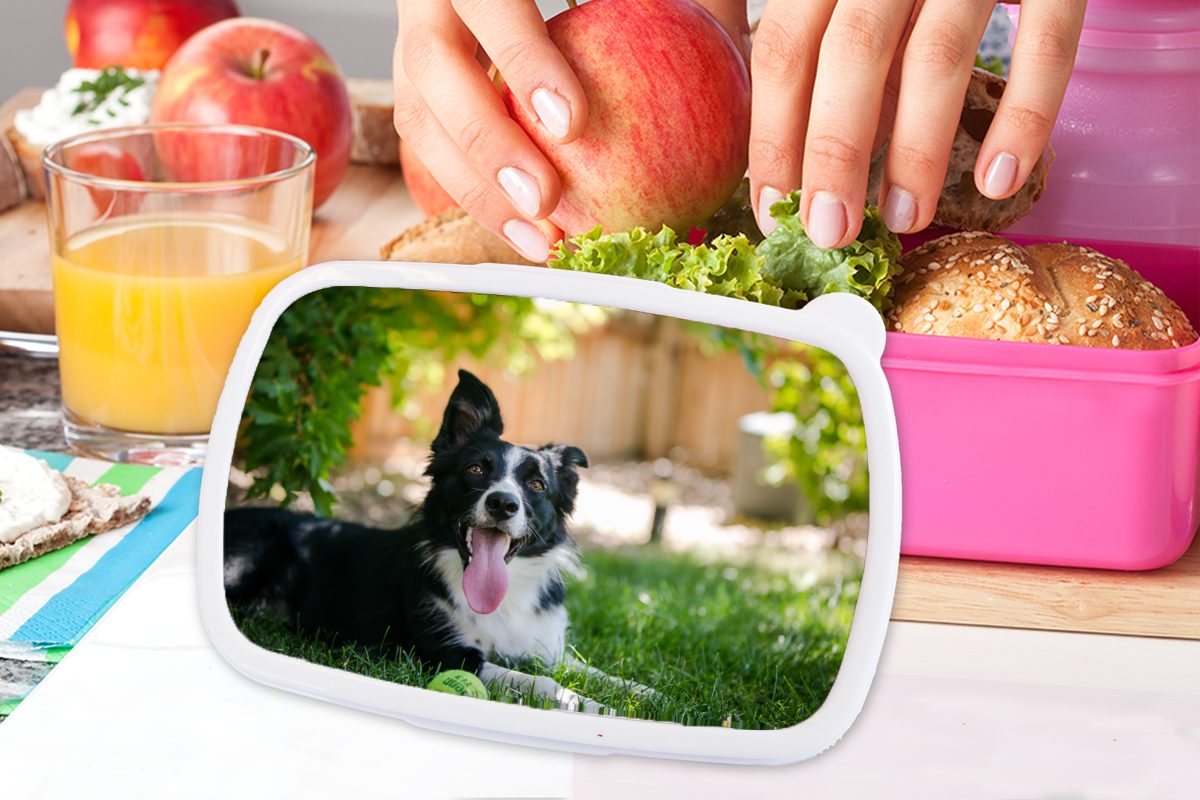Kunststoff Lunchbox für rosa (2-tlg), Brotbox Hund Brotdose - Snackbox, Mädchen, - Gras Kunststoff, Erwachsene, Kinder, Tiere, MuchoWow