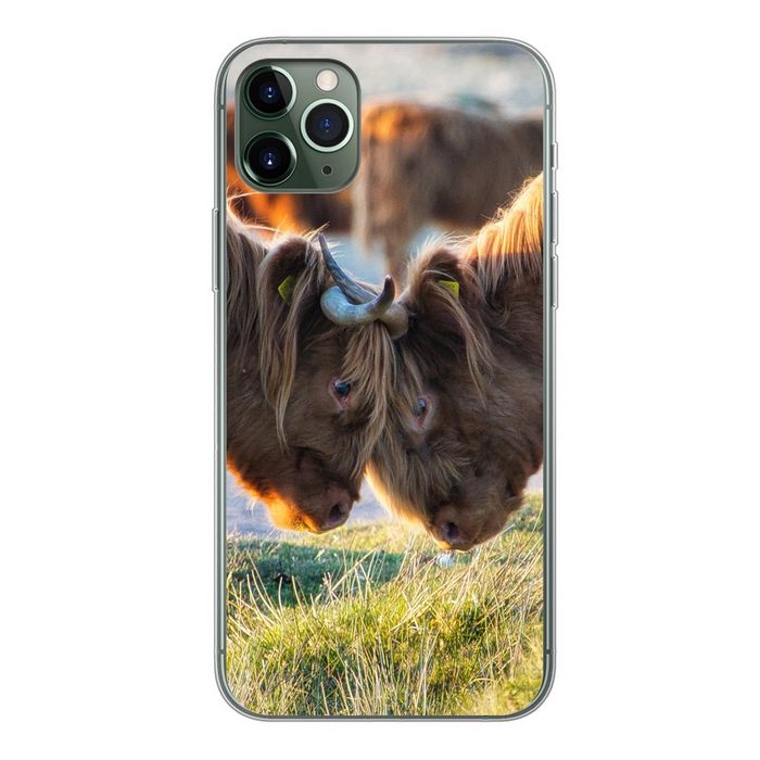 MuchoWow Handyhülle Schottische Highlander - Tiere - Sonne Handyhülle Apple iPhone 11 Pro Max Smartphone-Bumper Print Handy
