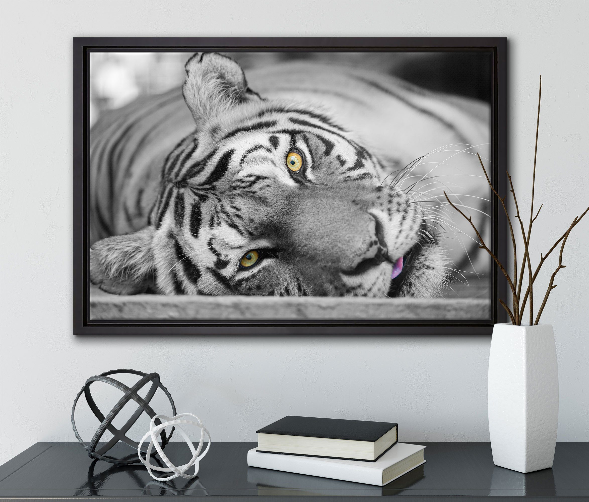 Zackenaufhänger Pixxprint einem gefasst, inkl. bespannt, in Schattenfugen-Bilderrahmen Leinwandbild Leinwandbild Tiger, ruhender (1 fertig St), Wanddekoration