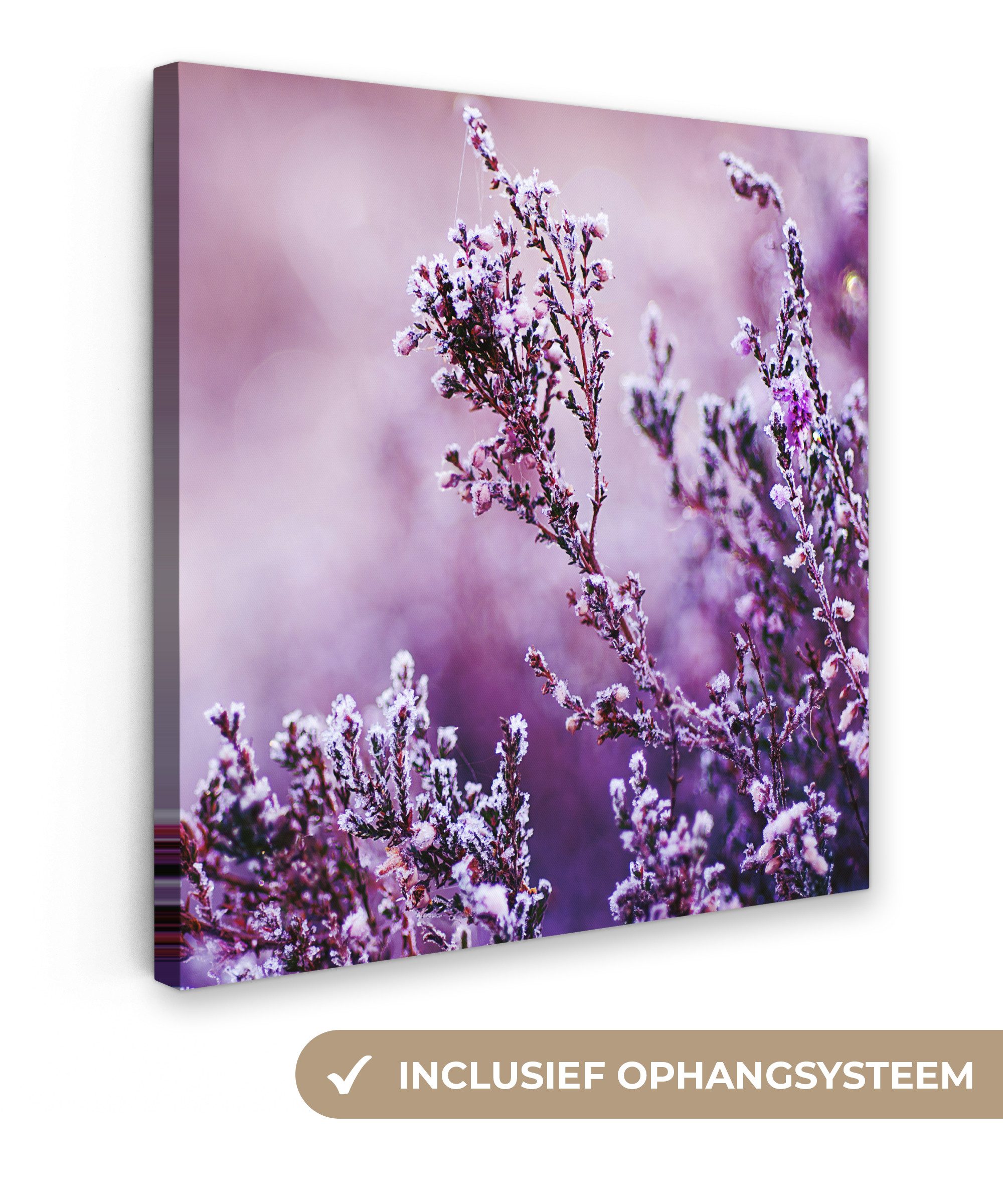 OneMillionCanvasses® Leinwandbild Lavendel - Winter - Blumen - Lila, Fotodruck (1 St), Wandbild, Deko Schlafzimmer Wohnzimmer Flur 20x20 cm
