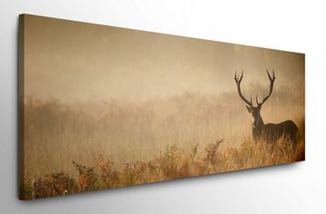 möbel-direkt.de Leinwandbild Bilder XXL Hirsch Wandbild auf Leinwand