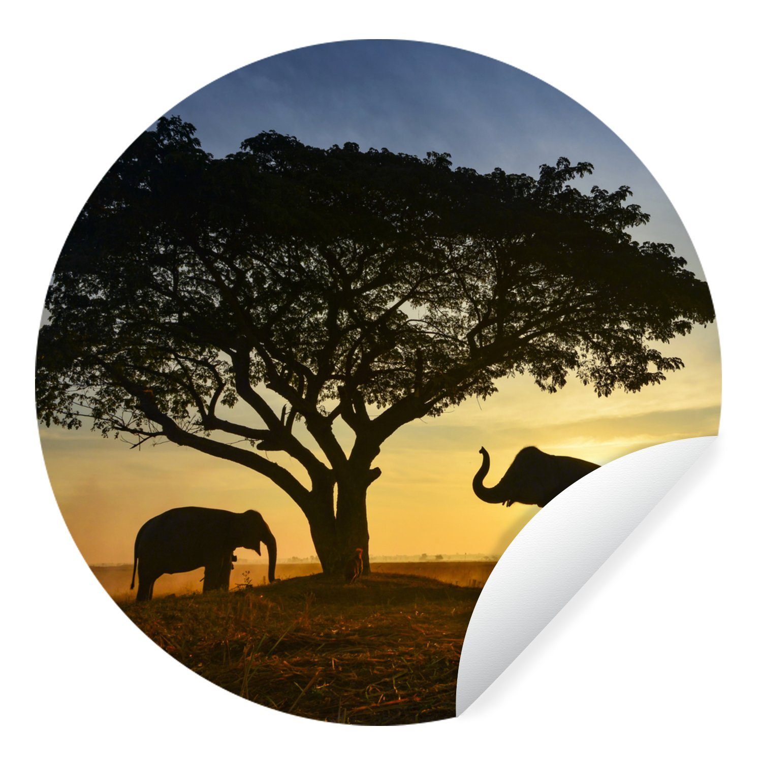 MuchoWow Wandsticker Elefant - Sonne - Afrika (1 St), Tapetenkreis für Kinderzimmer, Tapetenaufkleber, Rund, Wohnzimmer