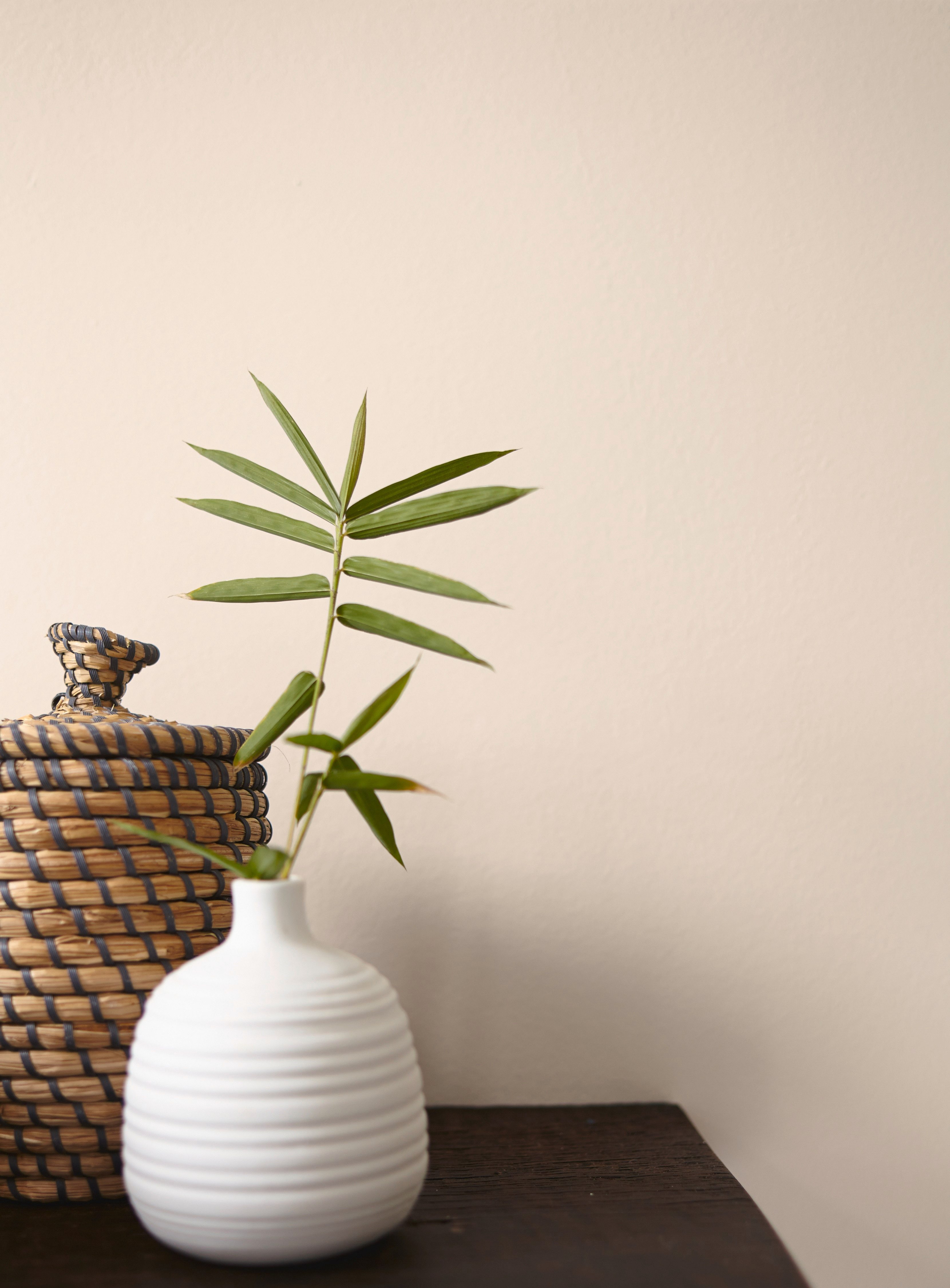 Alpina Wandfarbe Alpina Feine Farben edelmatt 2,5 Liter - Farbfamilie Beige