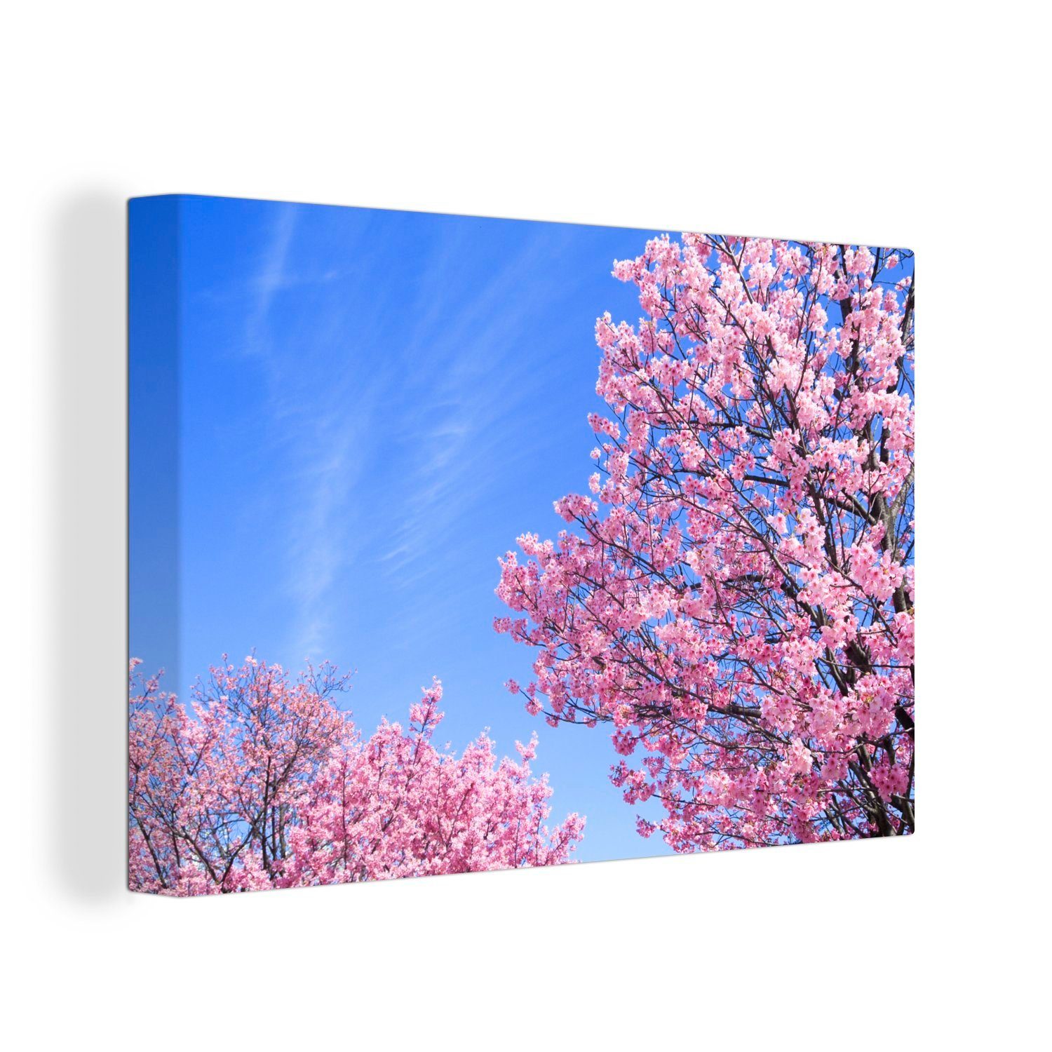 30x20 Leinwandbilder, Kirschblüte Himmel, cm (1 Leinwandbild OneMillionCanvasses® Wanddeko, Wandbild blauen Aufhängefertig, St), gegen