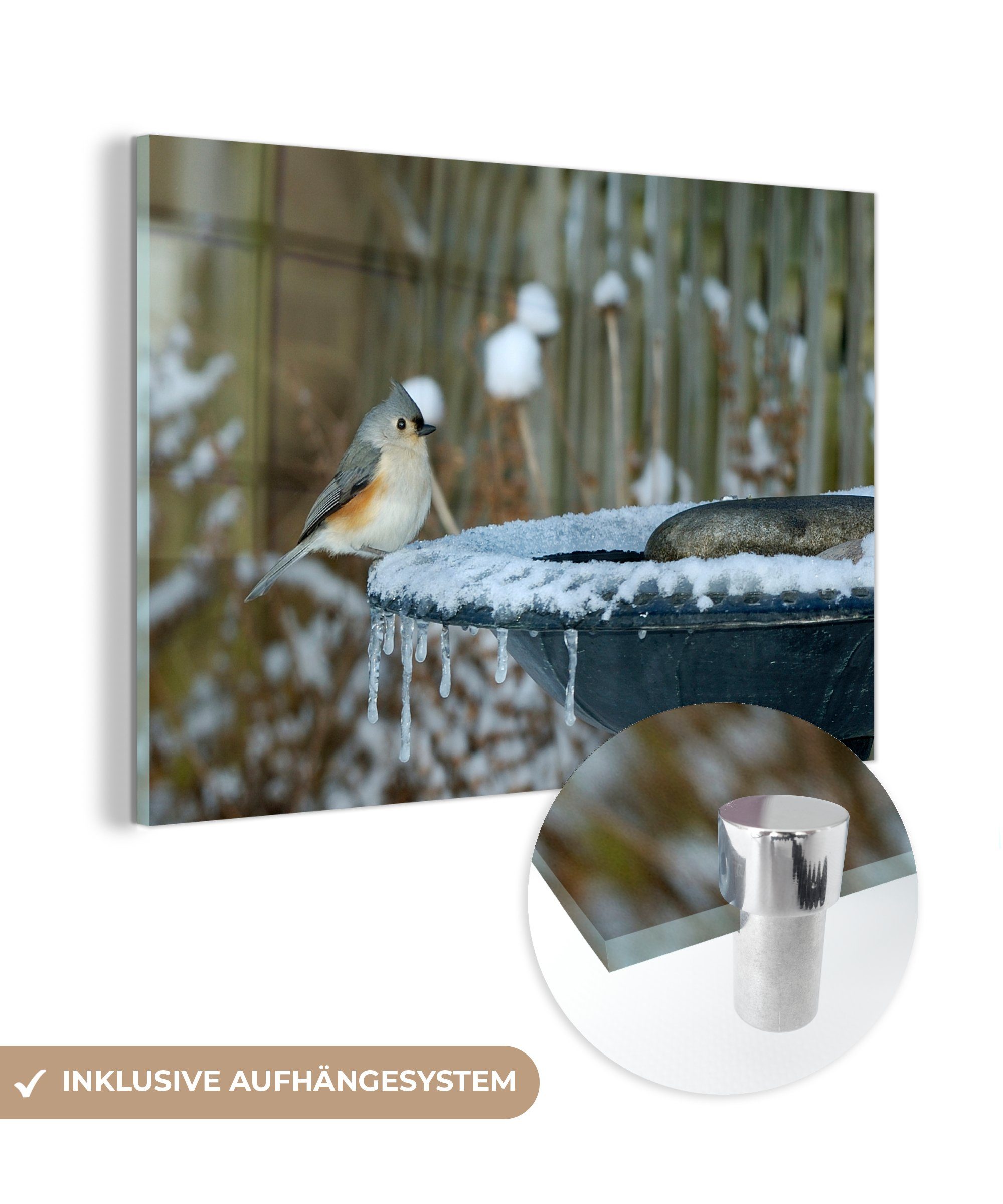 MuchoWow Acrylglasbild Vogeltränke - Winter - Meise, (1 St), Acrylglasbilder Wohnzimmer & Schlafzimmer
